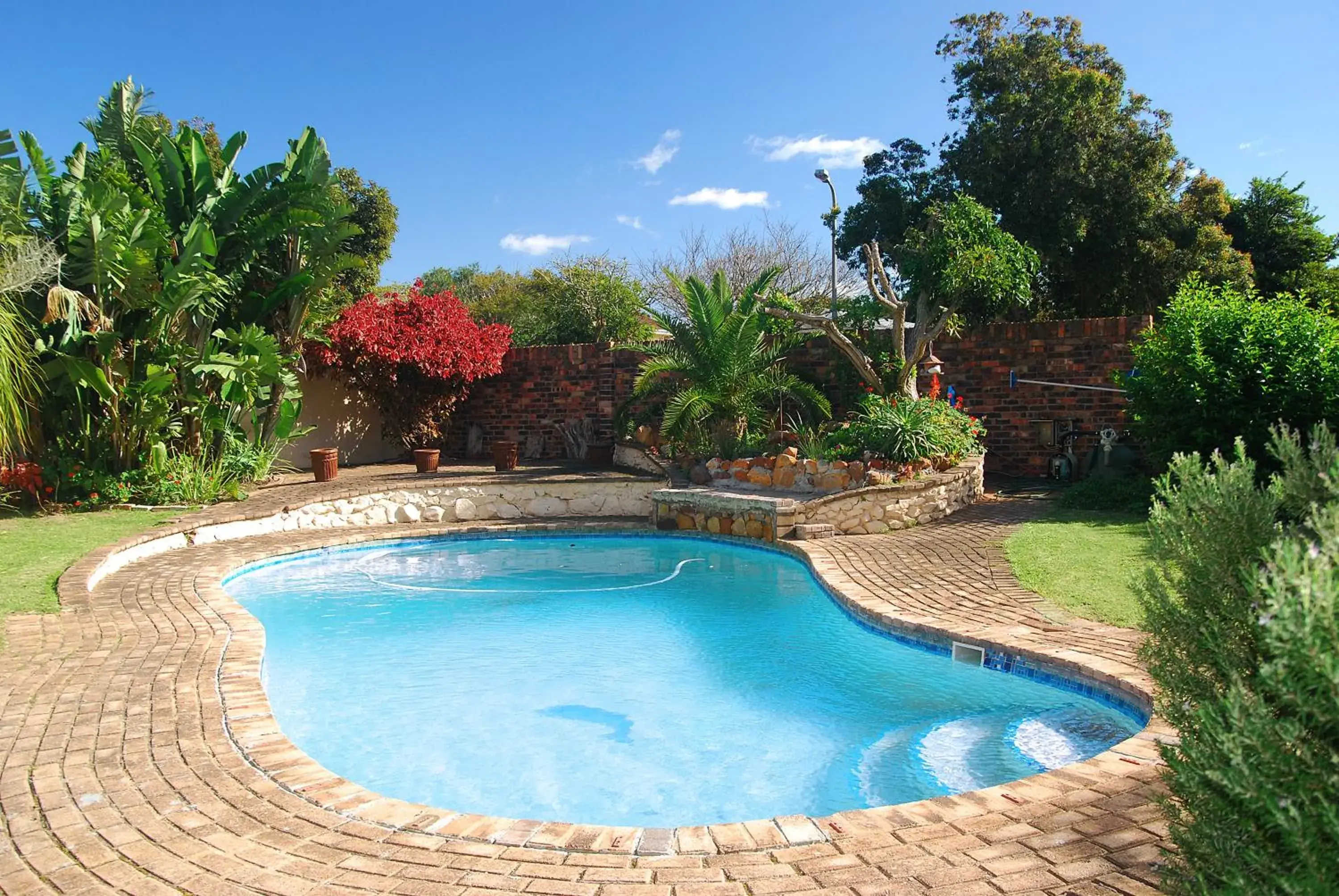 Garden, Swimming Pool in Port Elizabeth Guest House