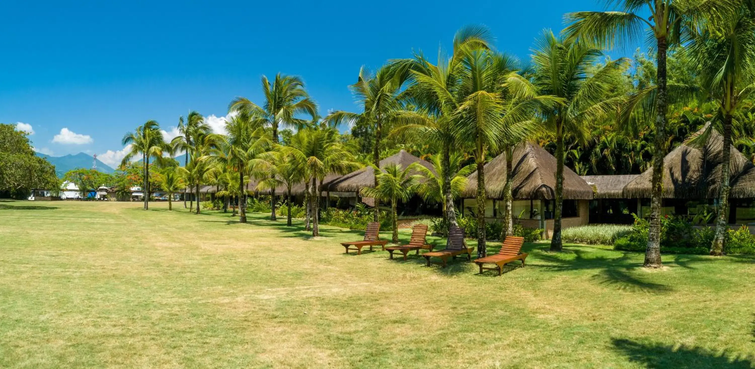 Garden view in Hotel Portobello Resort & Safari