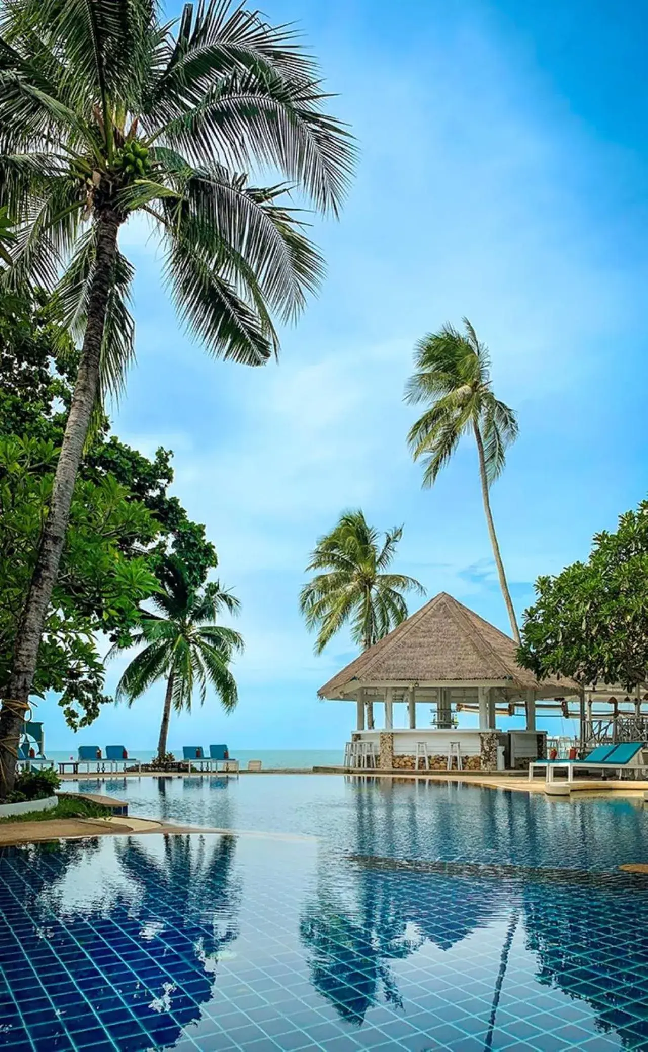 Pool view, Swimming Pool in Sand Sea Resort & Spa - Lamai Beach , Koh Samui