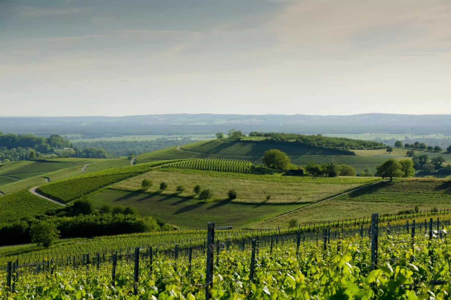 Staff in Genusshotel Alte Post