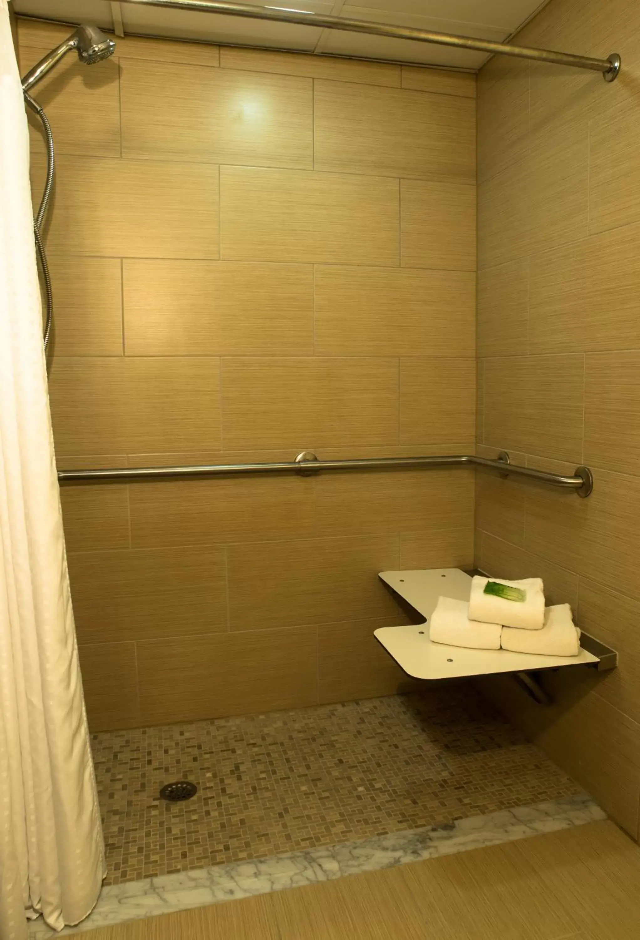 Shower, Bathroom in Spring Lake Inn & Suites - Fayetteville