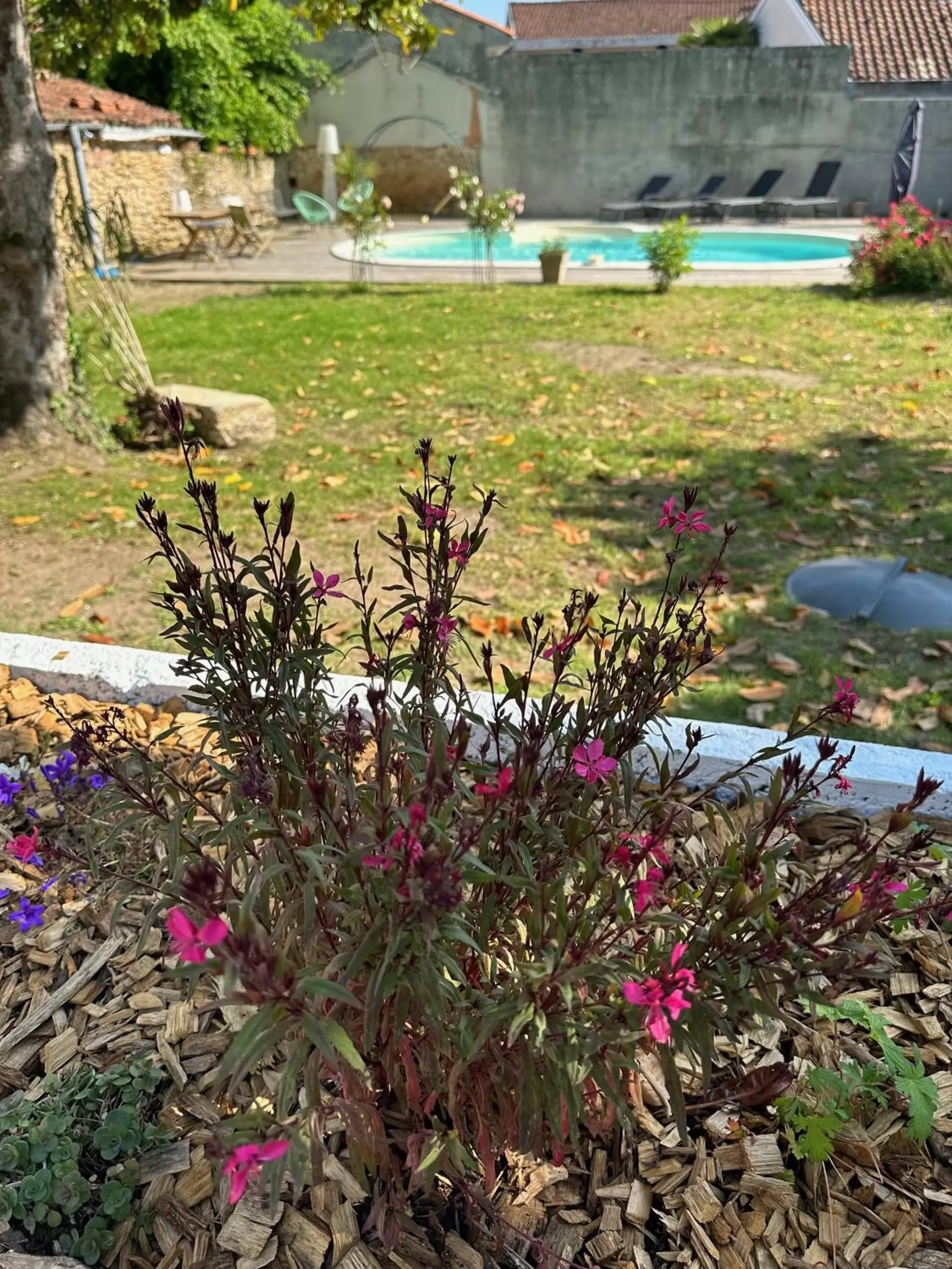 Garden, Swimming Pool in La Maison Florence