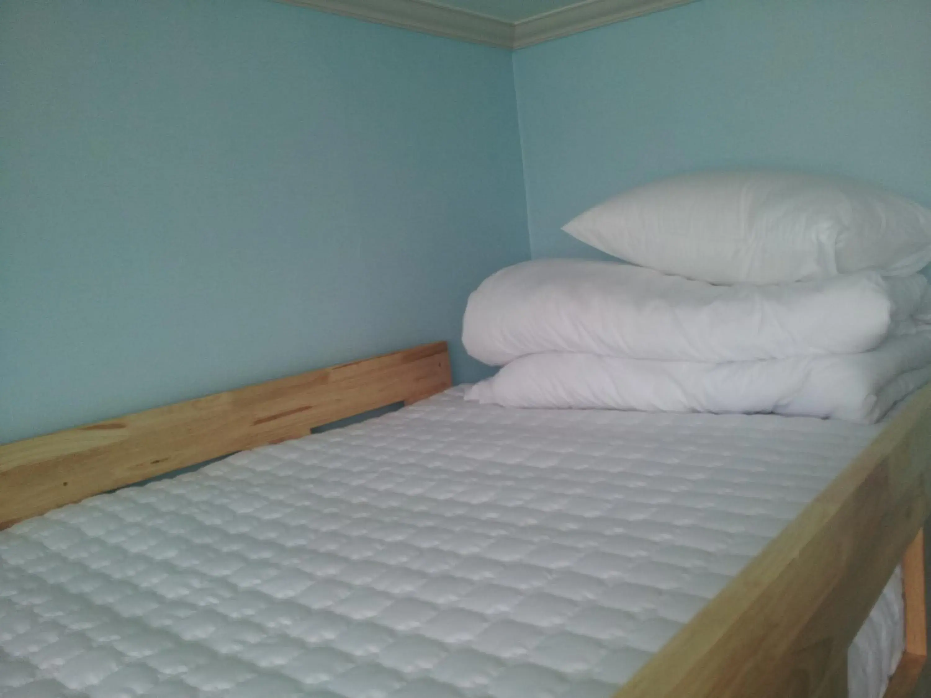 bunk bed, Bed in Gyeongju Namu Guesthouse