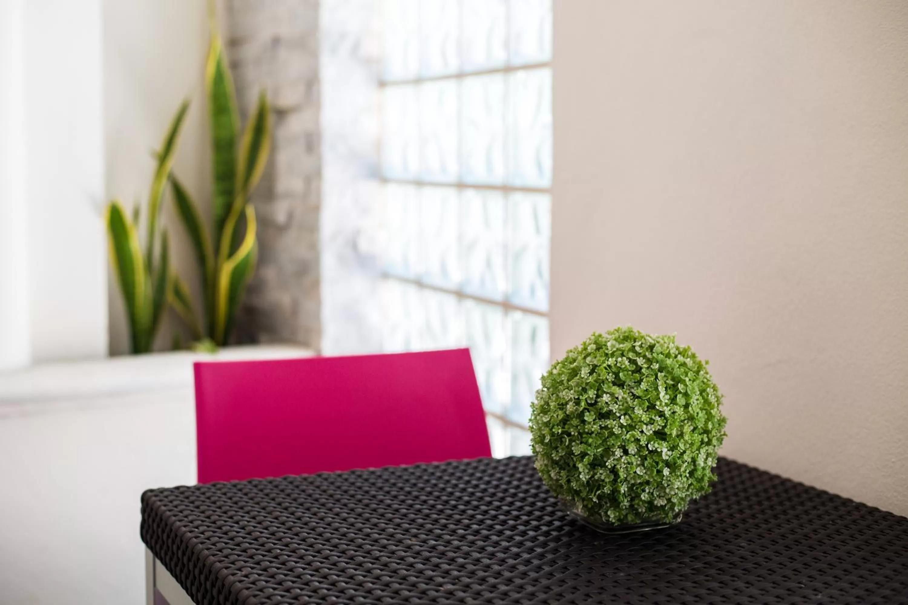 Patio in Suites Corazon