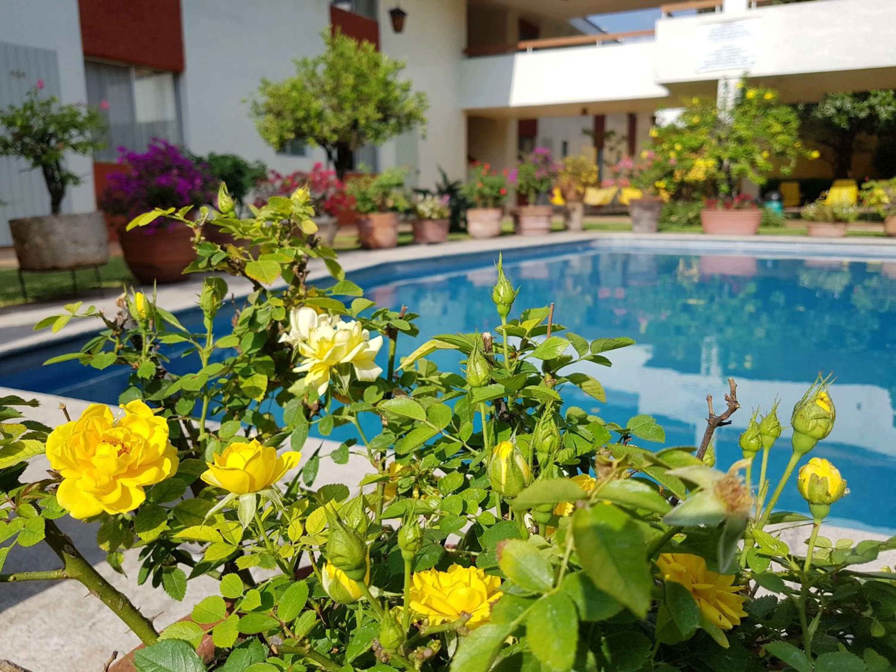 Patio in Hotel Isabel