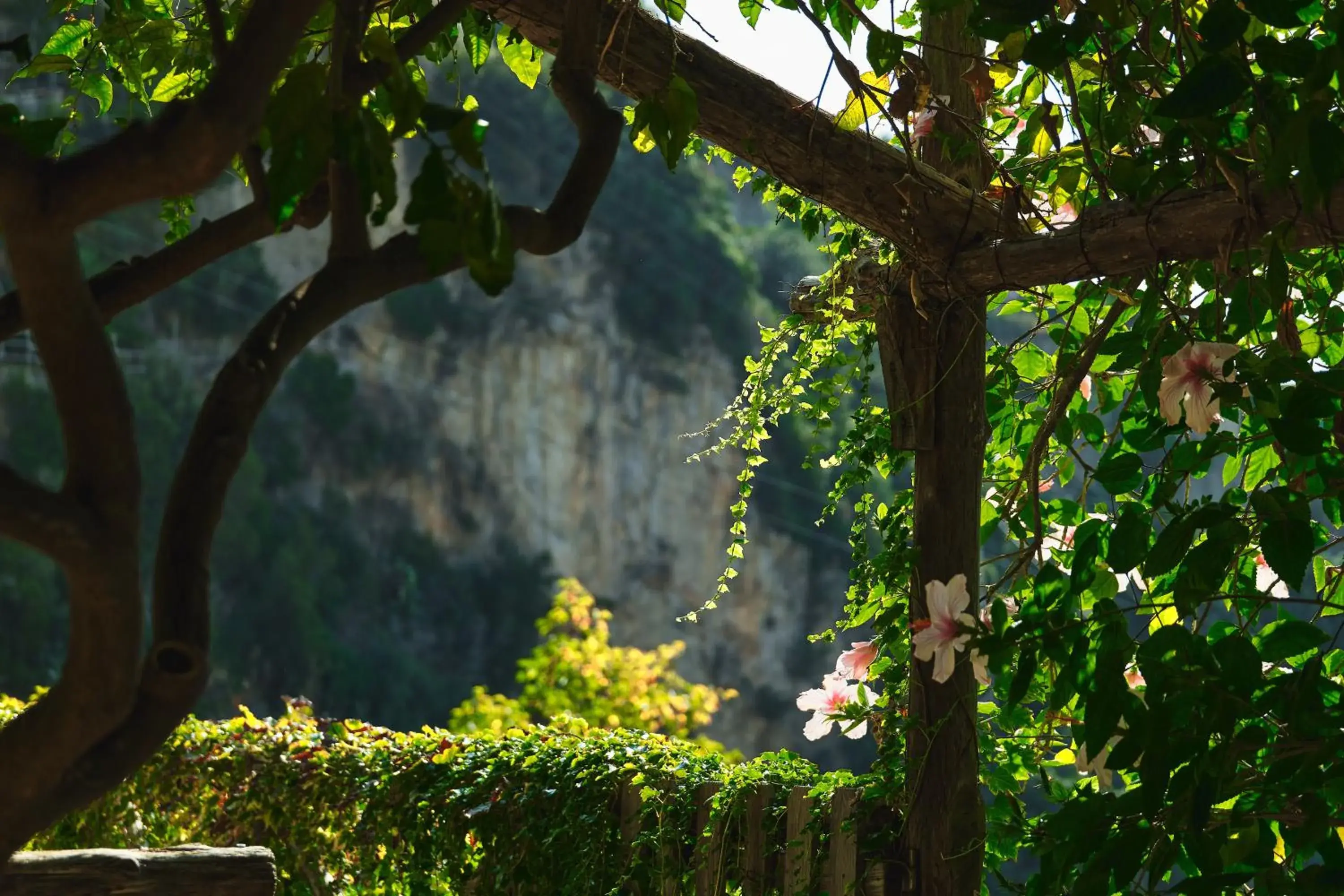 Garden in Hotel Botanico San Lazzaro