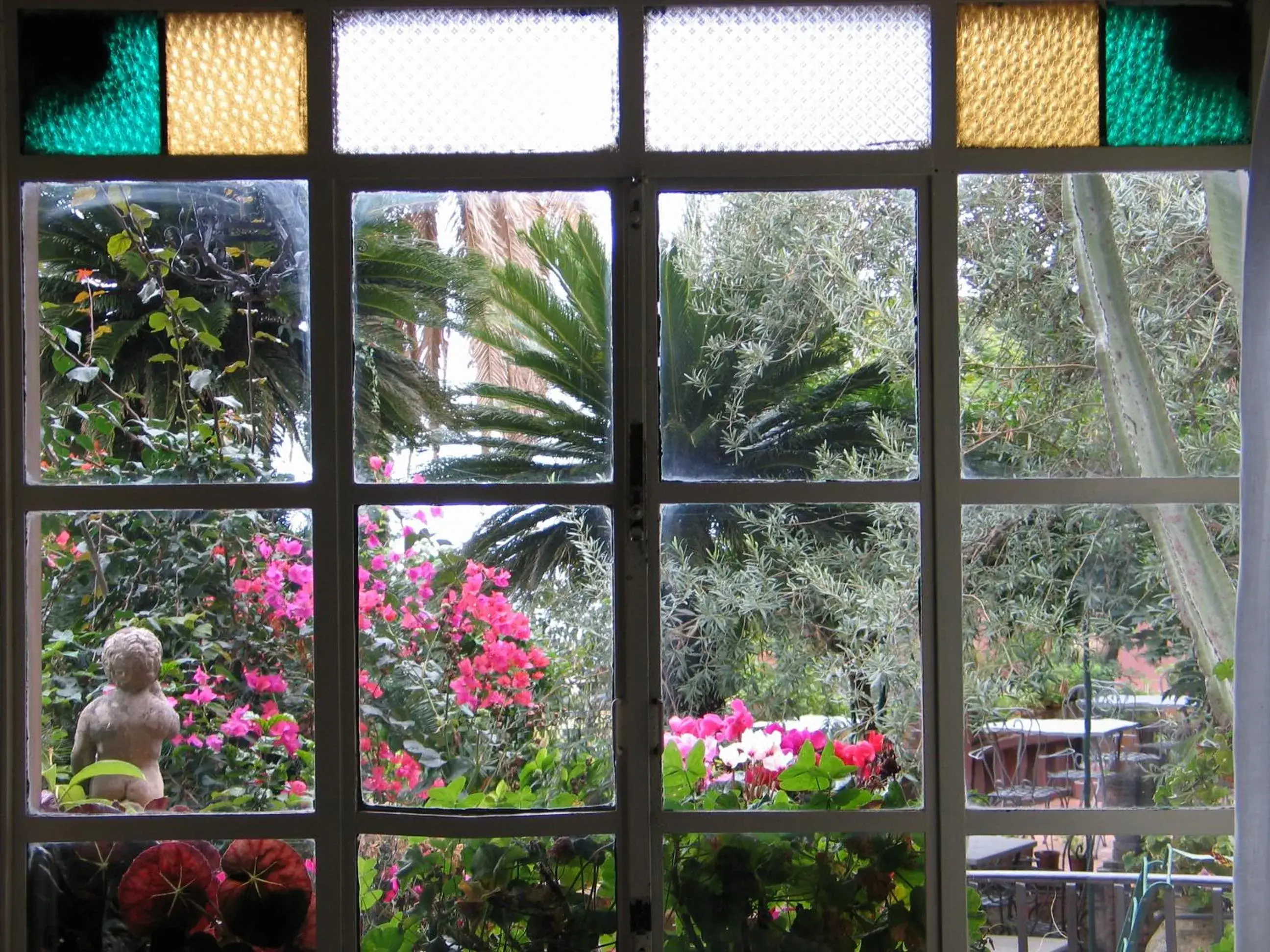 Garden view in Hotel Villa Nettuno