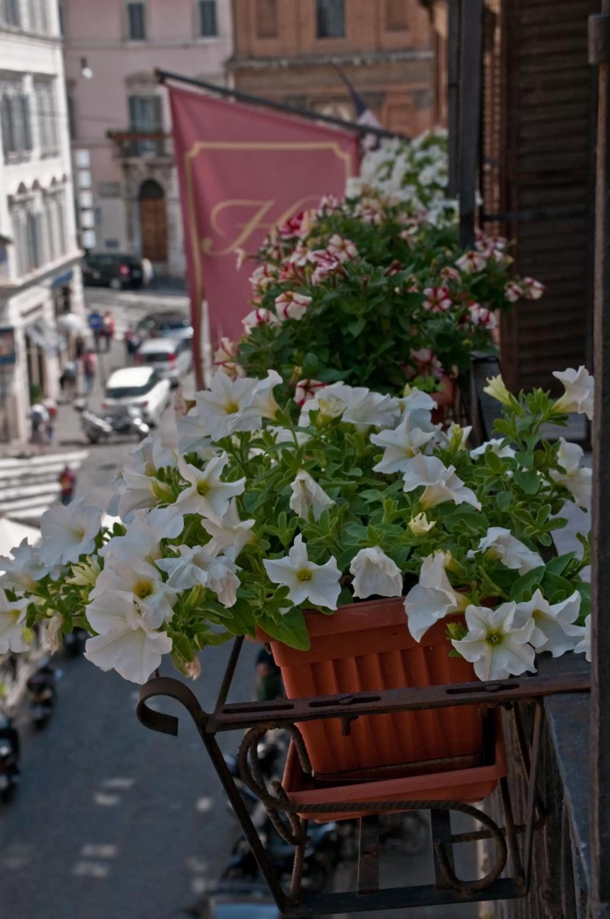 View (from property/room) in Hotel Concordia