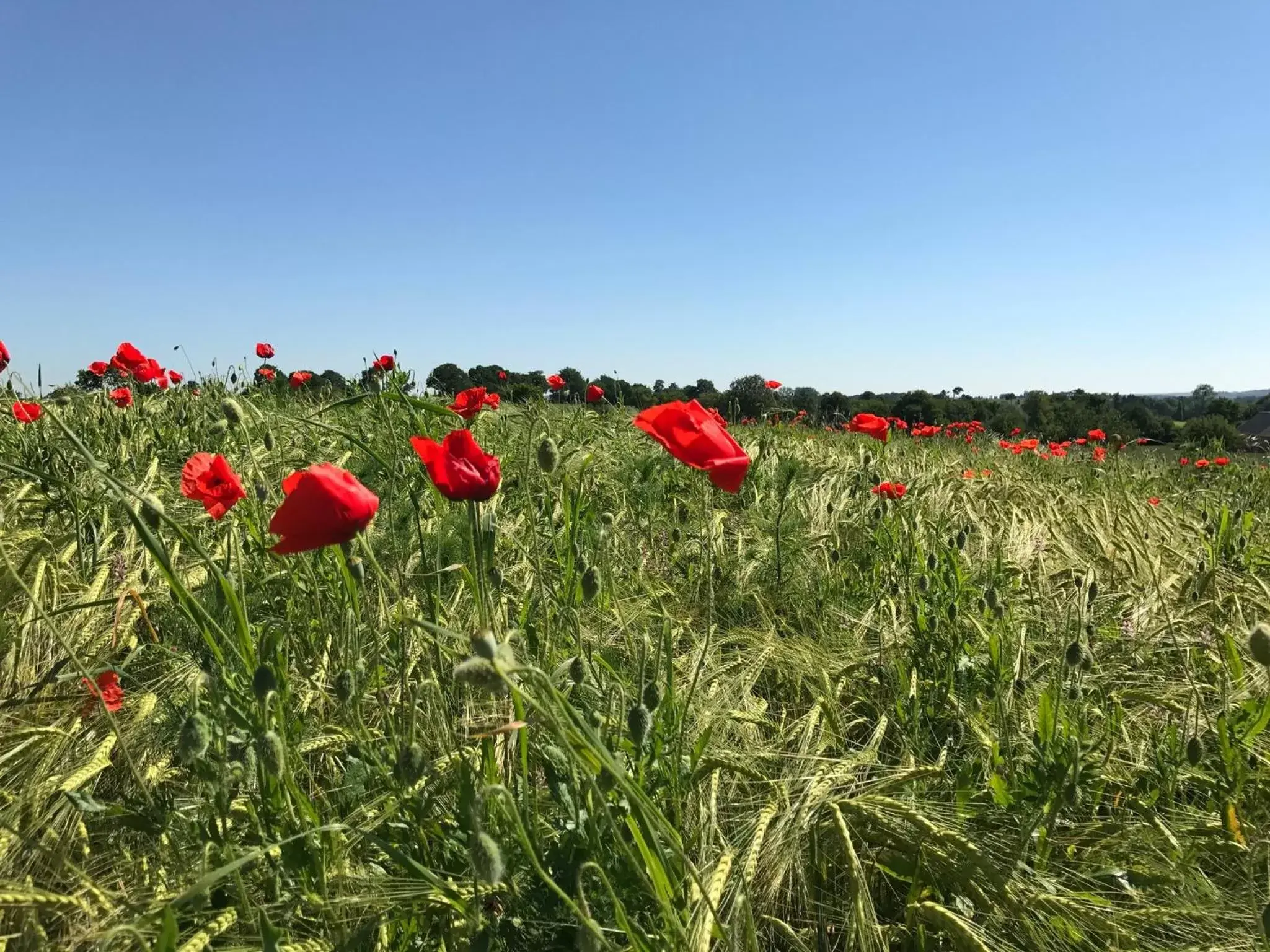 Off site in Les Bouyeres