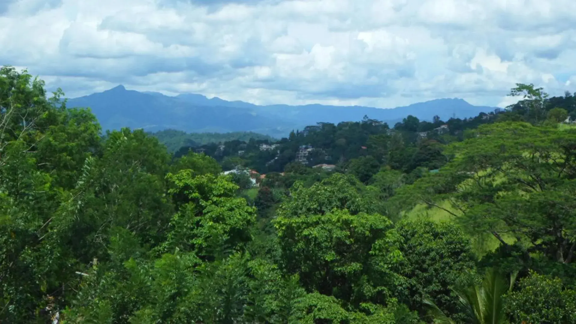 Natural landscape, Mountain View in Hanthana House