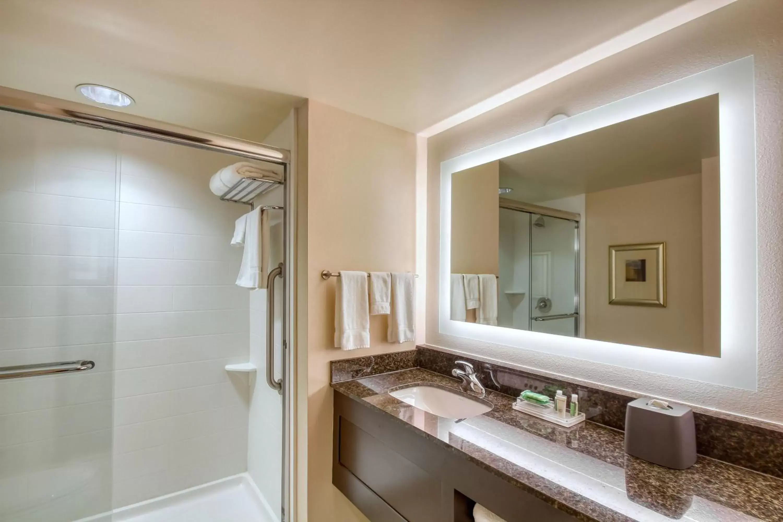 Bathroom in Holiday Inn & Suites Atlanta Airport North, an IHG Hotel