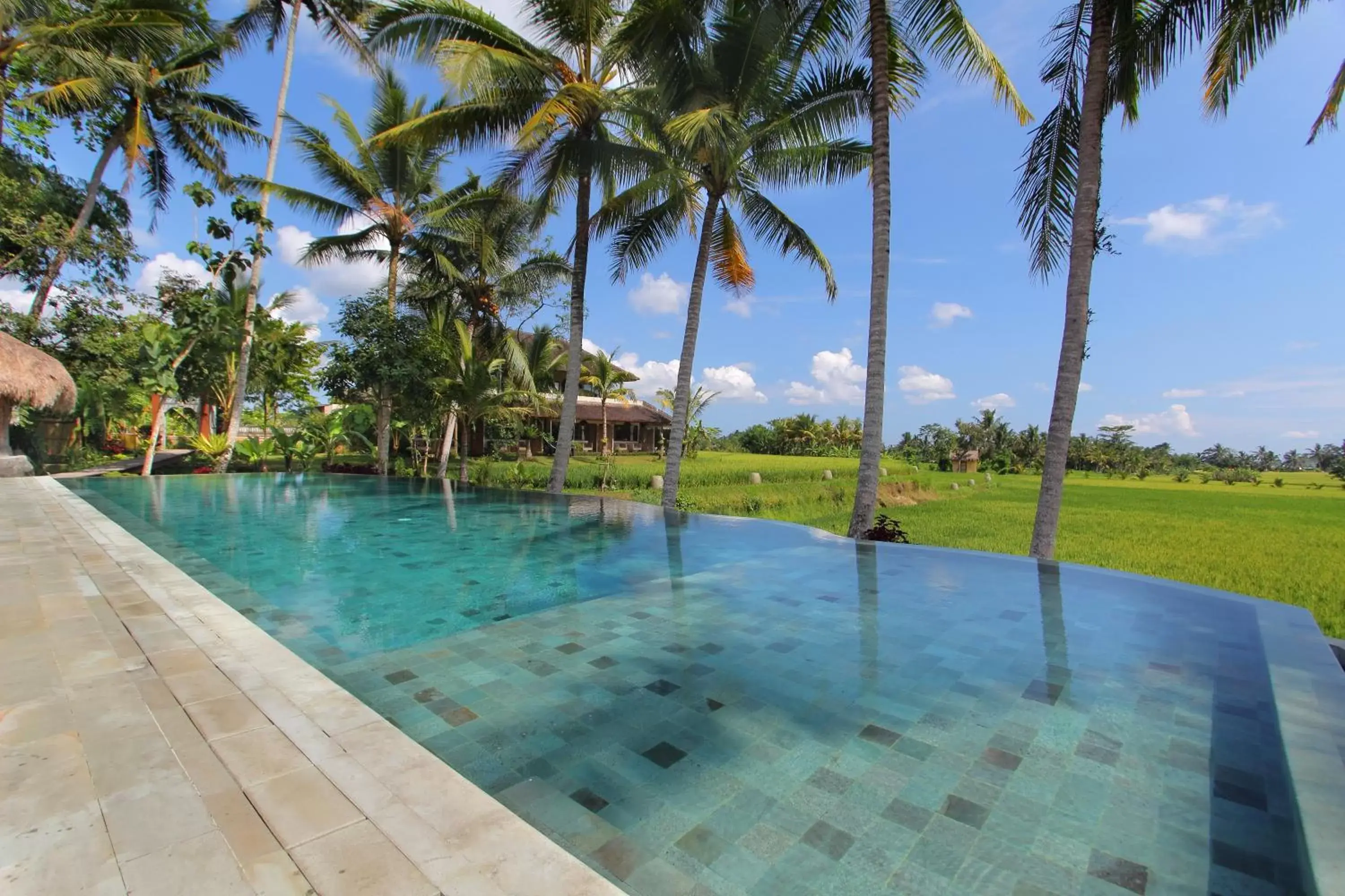 Lounge or bar, Swimming Pool in MATHIS Retreat Ubud