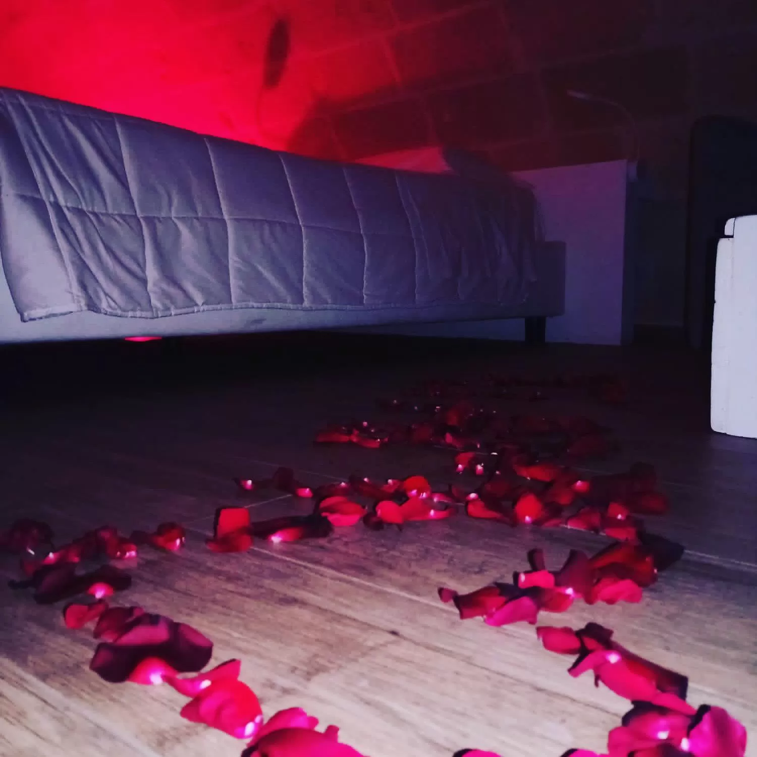 Kids's club, Bed in Recinto antico Sweet Rooms