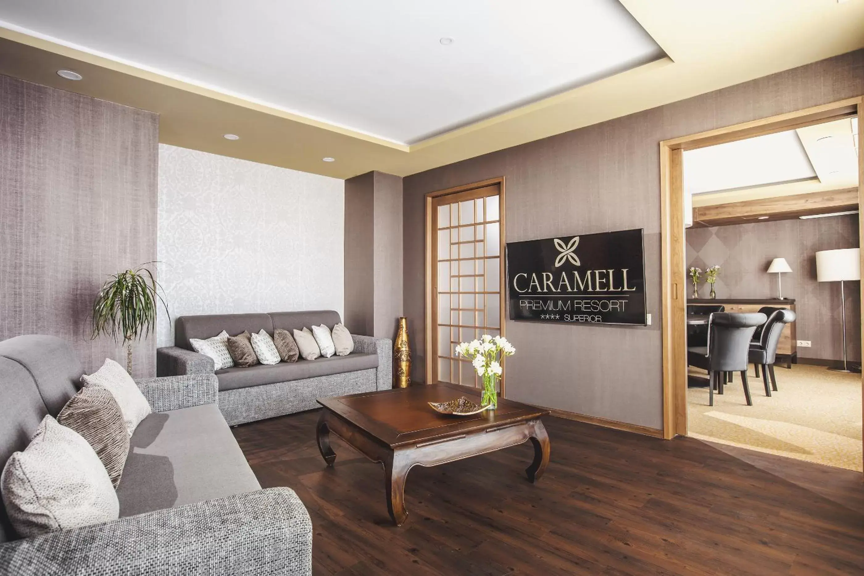 TV and multimedia, Seating Area in Caramell Premium Resort Superior