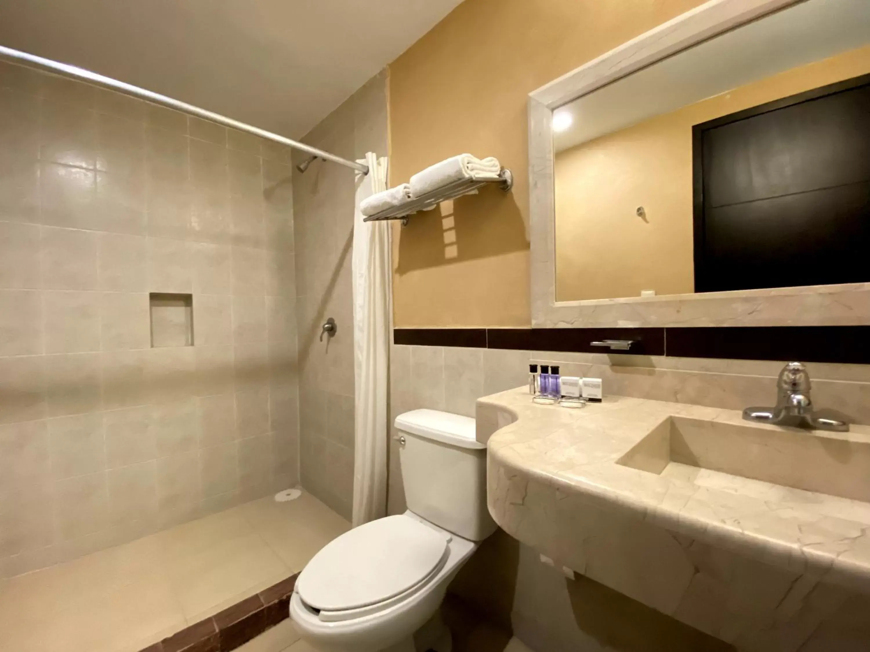 Toilet, Bathroom in Hotel Escala Puebla Centro