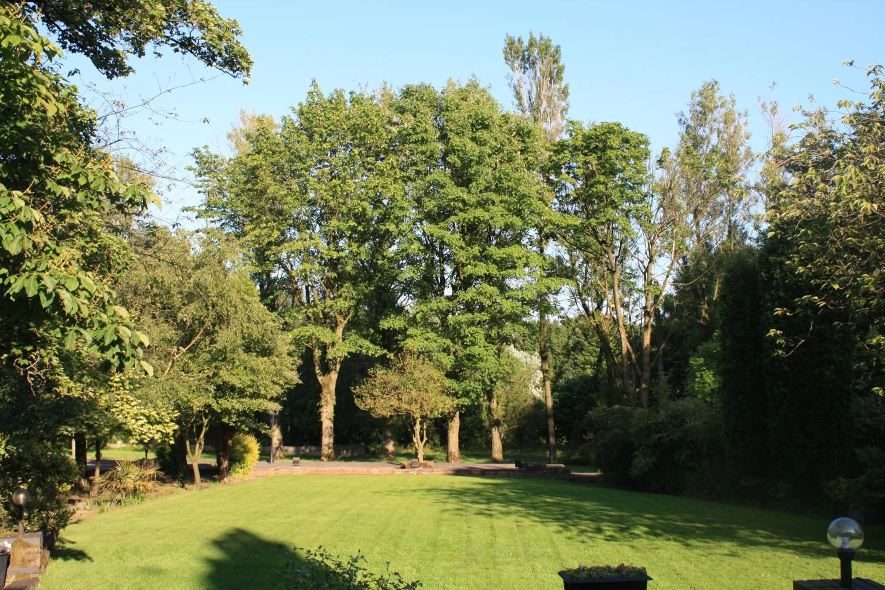 Garden in Birch Hotel