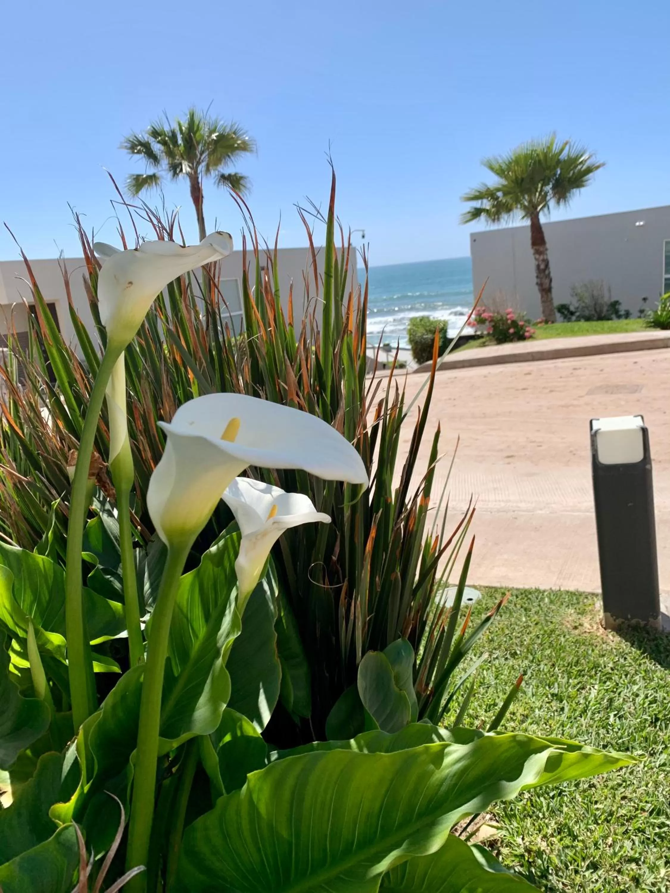 Fabulous Ocean View Condo with Walking Distance to the Beach!