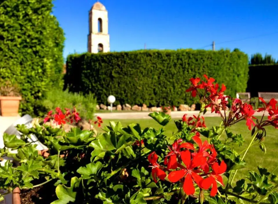 Garden in Hotel d'Altavilla