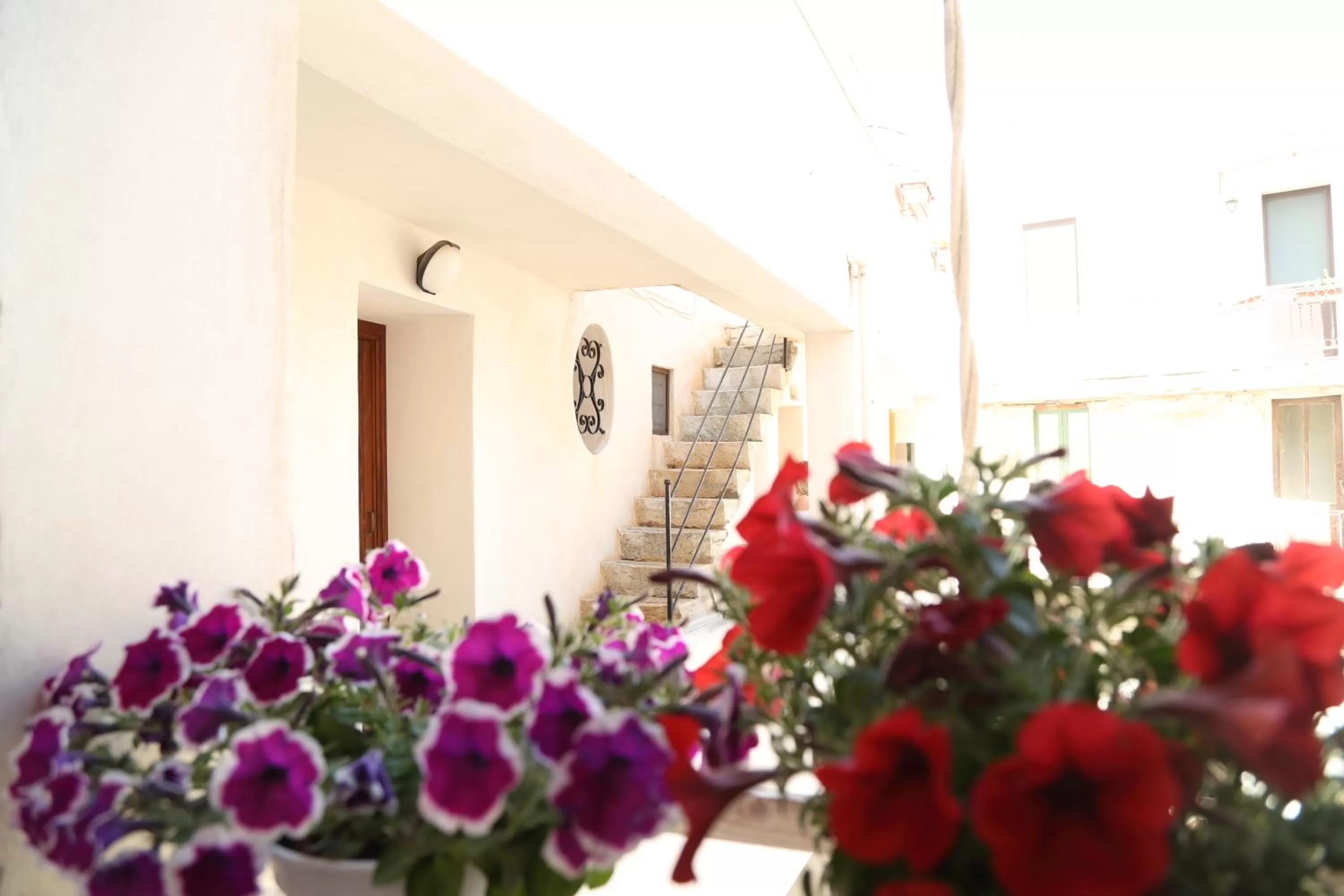 On site in Cortile Antico