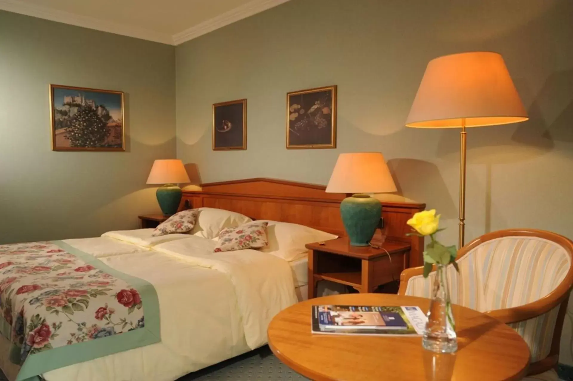 Double Room in Hotel am Schlosspark