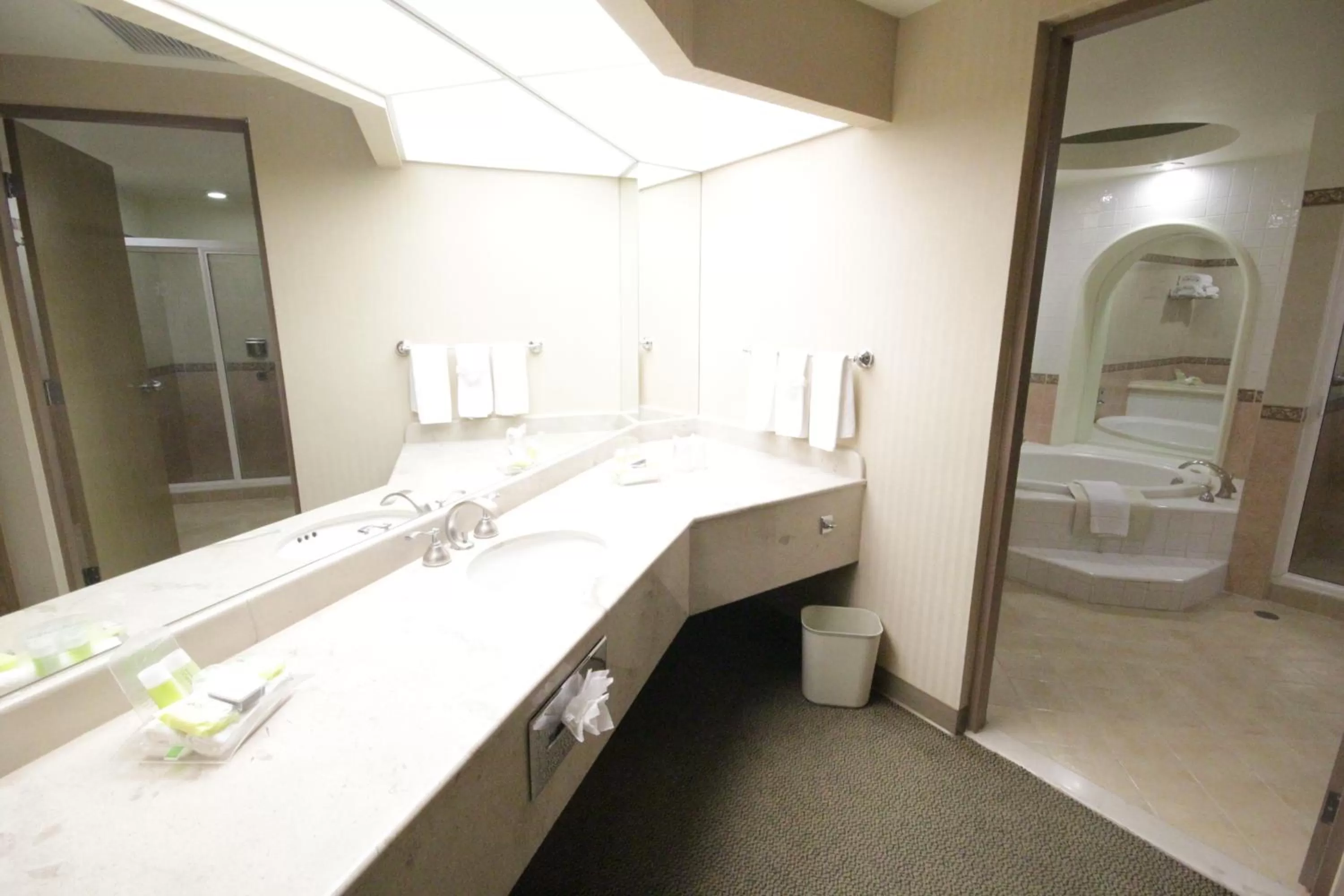 Bathroom in Holiday Inn Leon-Convention Center by IHG