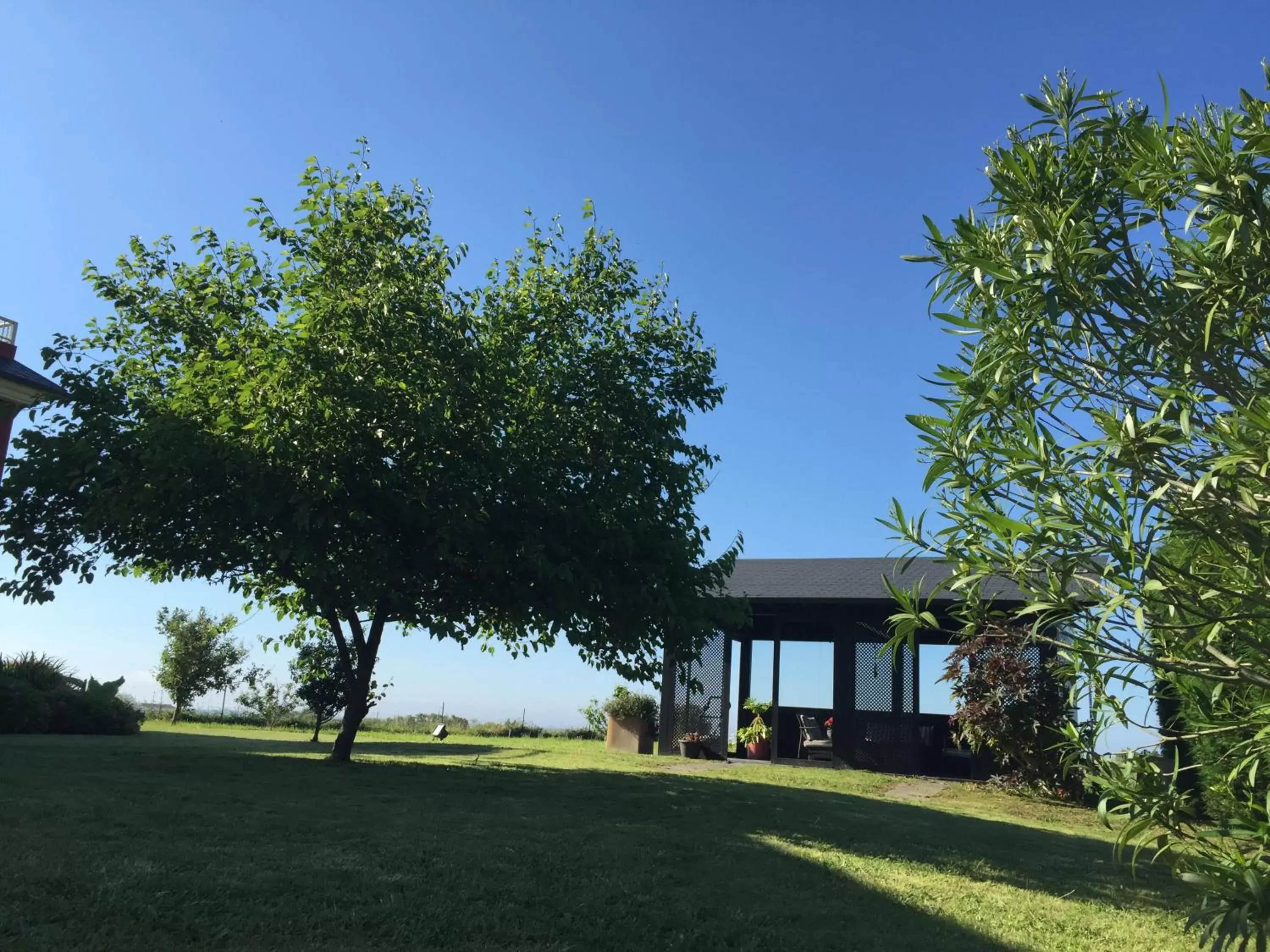 Garden, Property Building in Hotel Mi Norte