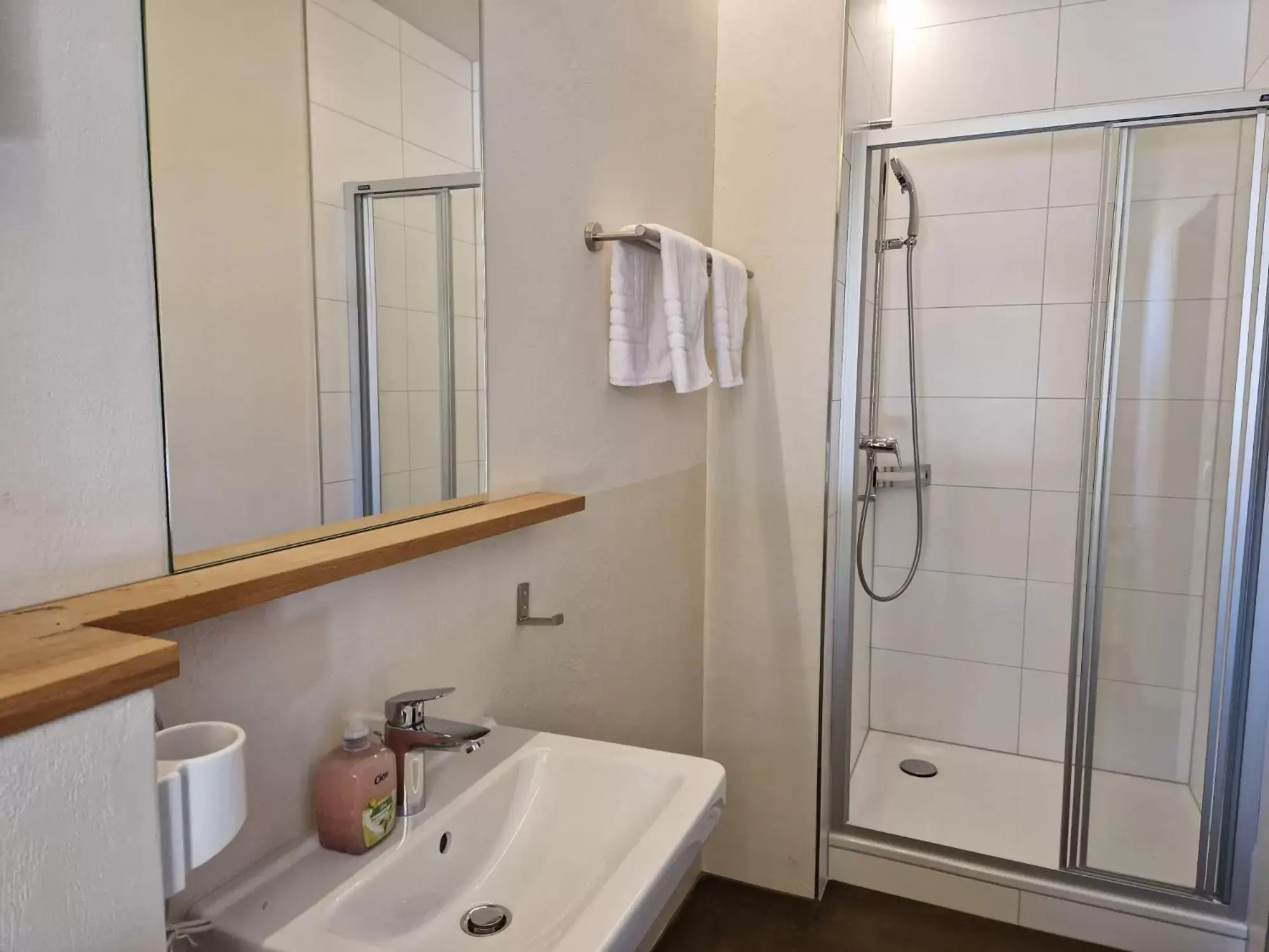 Shower, Bathroom in Easy-Living Buholz Hoch 12