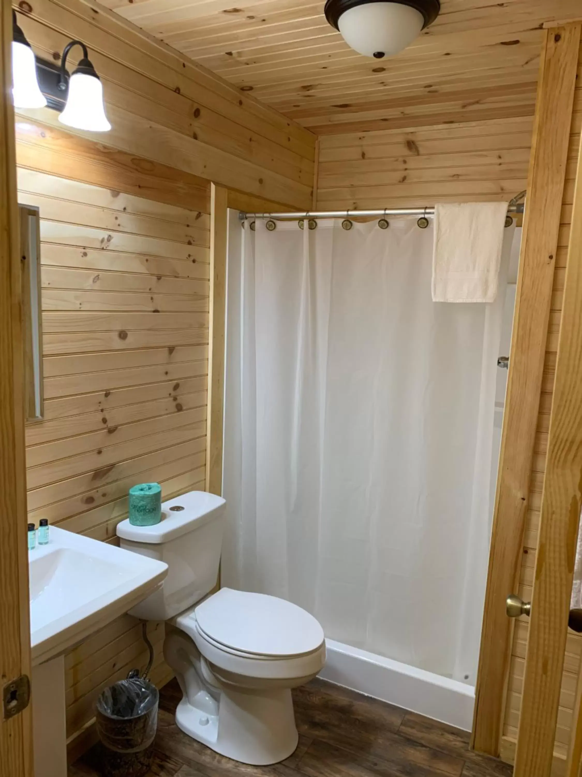 Bathroom in Presidential Mountain Resort