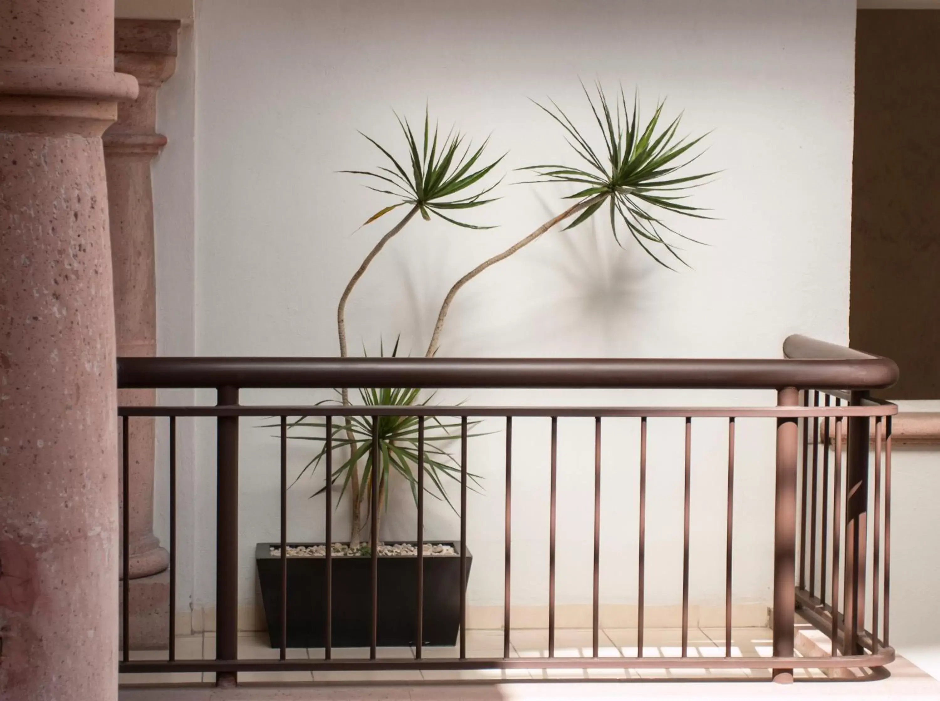 Balcony/Terrace in Hotel Rio Queretaro