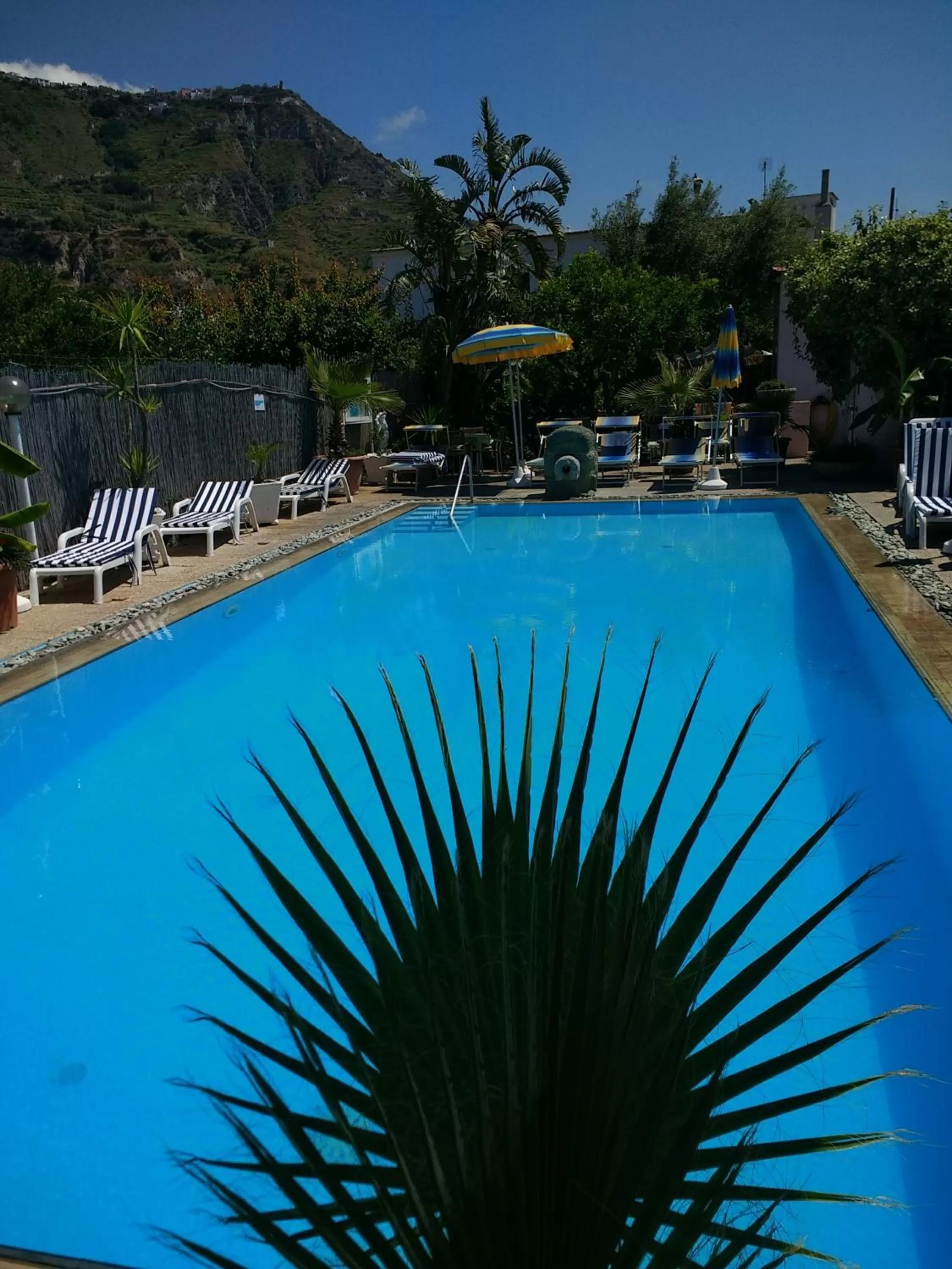 Swimming pool in Hotel Casa Nicola