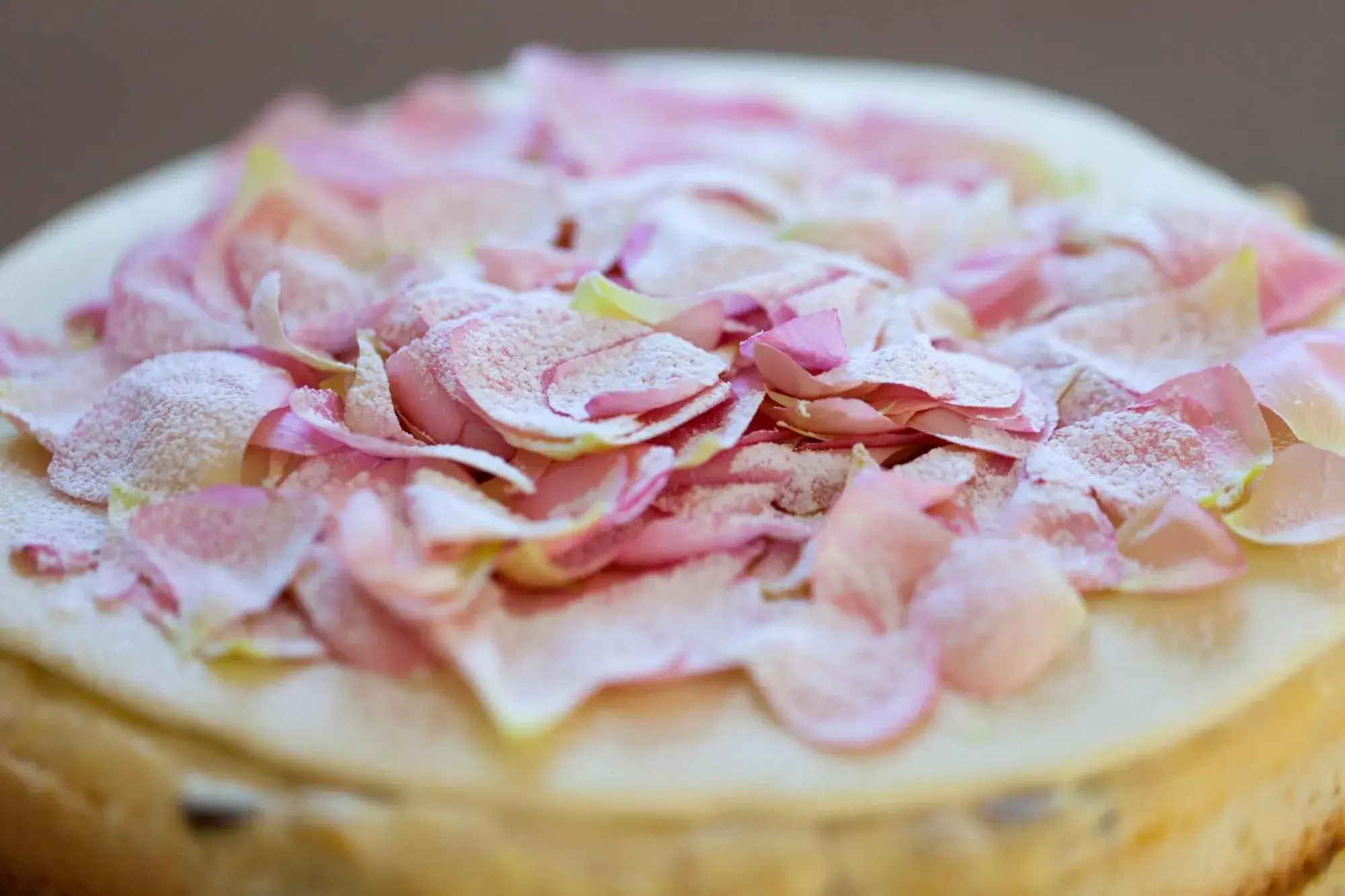 Restaurant/places to eat in Europa Hotel Design Spa 1877 Restaurant/places to eat in Europa Hotel Design Spa 1877