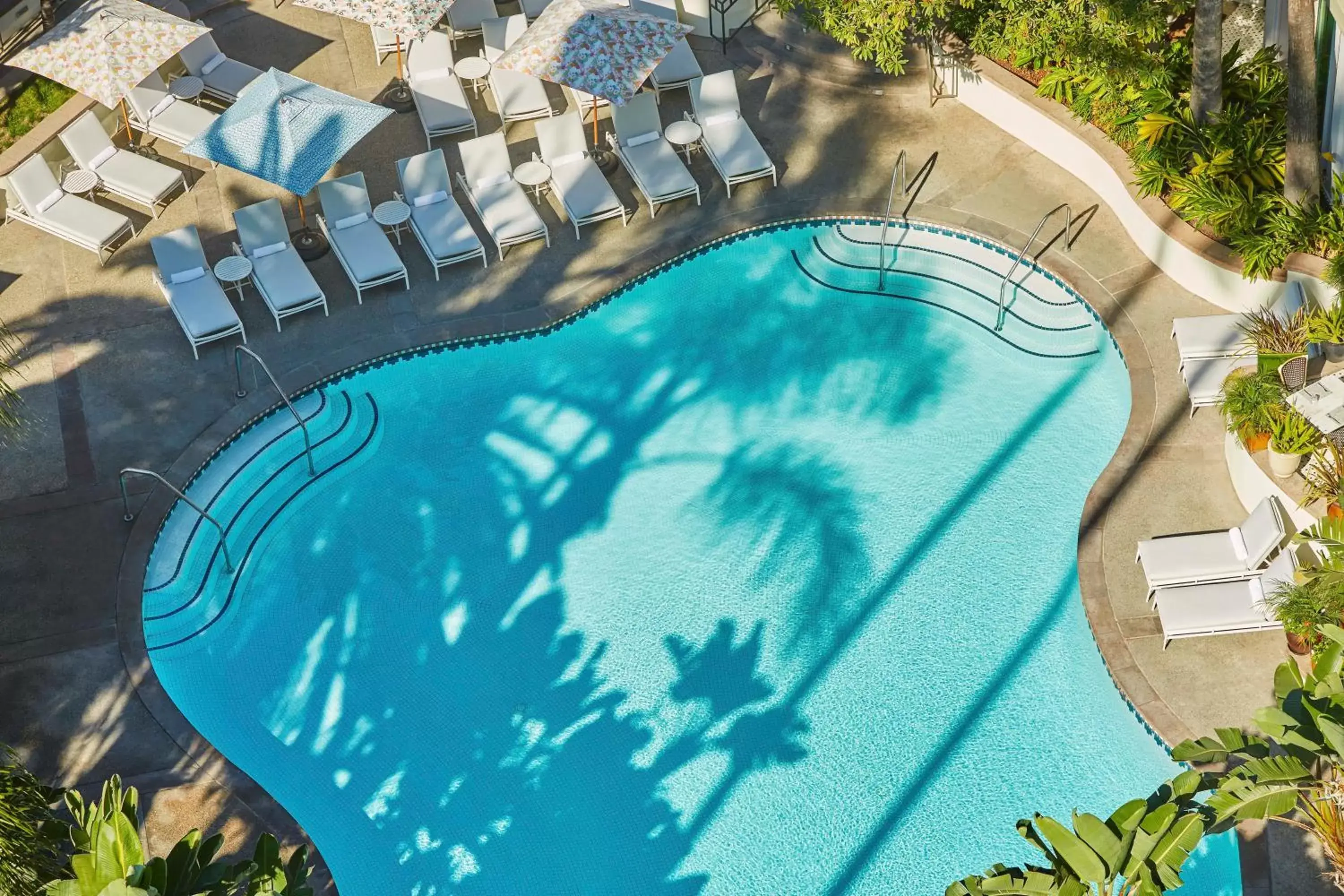 Swimming pool, Pool View in Fairmont Miramar Hotel & Bungalows
