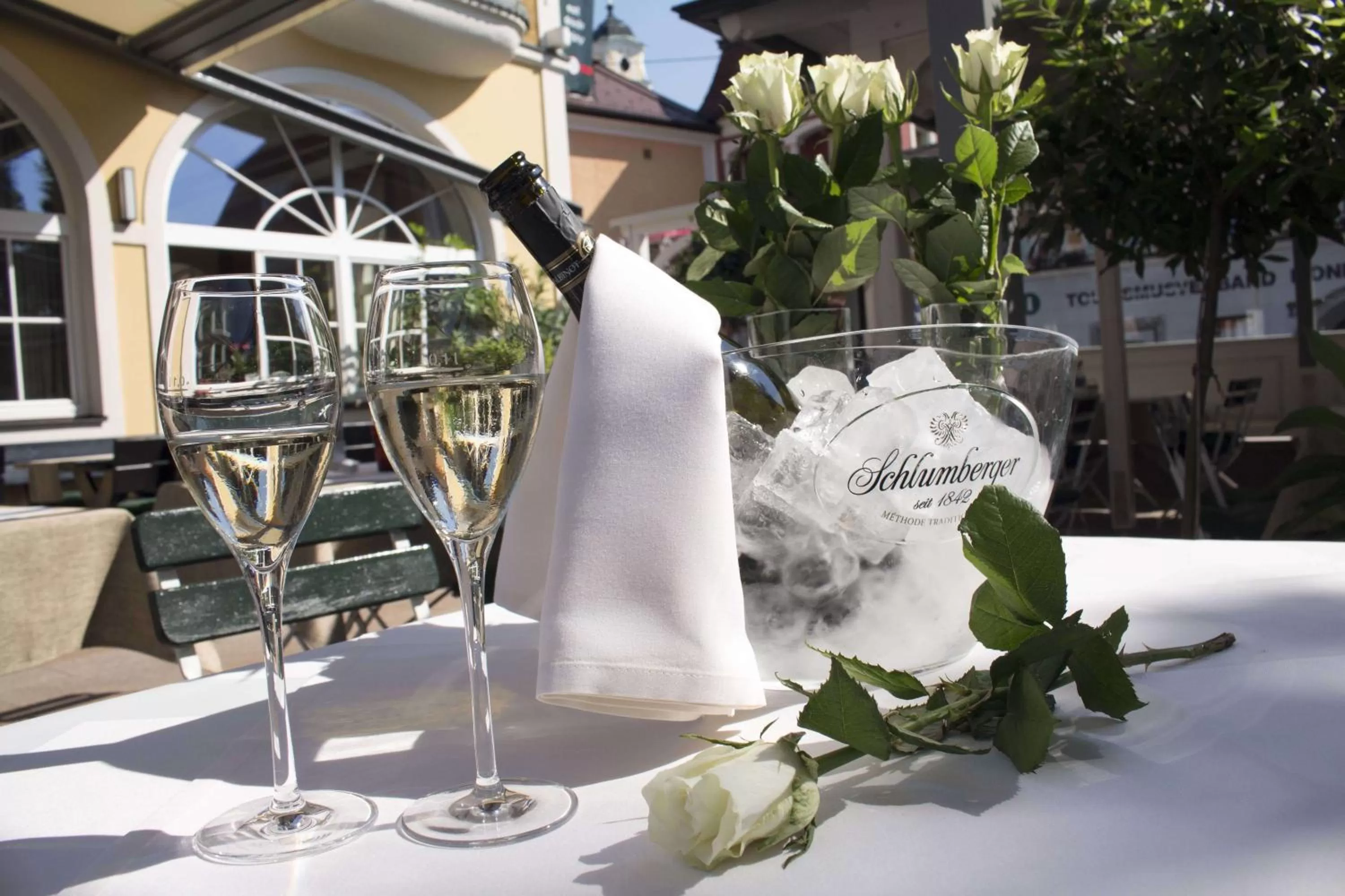 Garden view in Hotel Krone