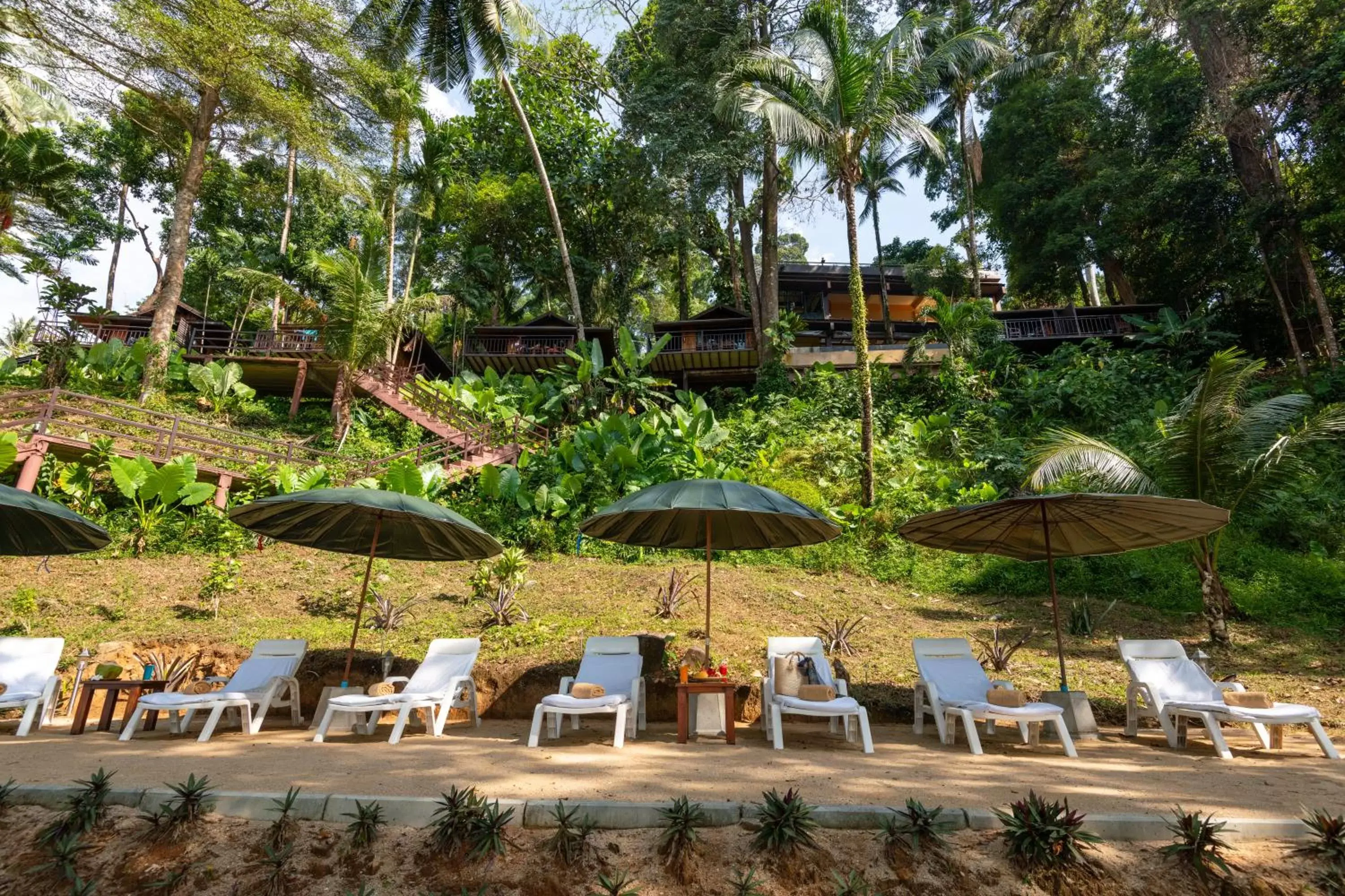 sunbed in Baan Krating Khao Lak Resort - SHA plus