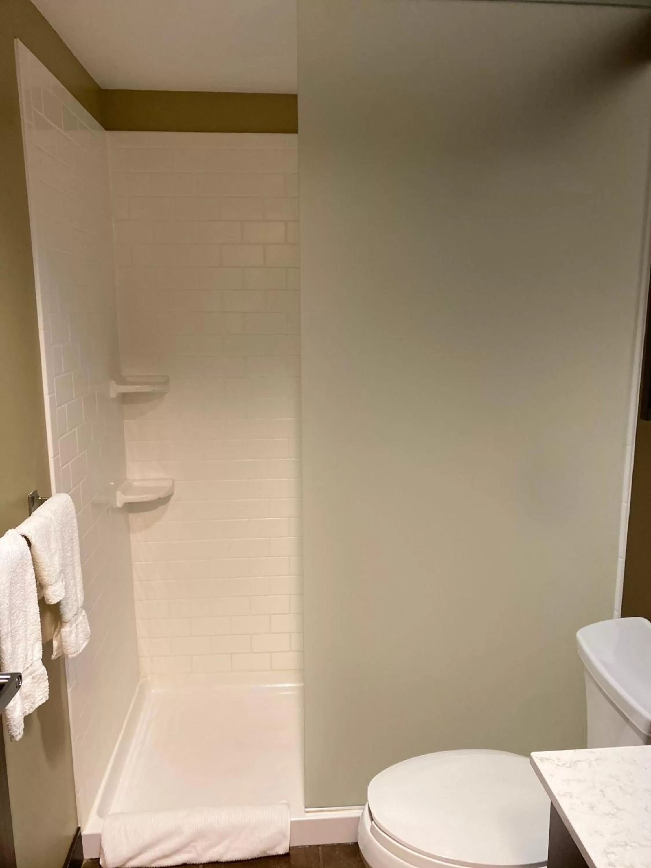 Bathroom in Microtel Inn & Suites by Wyndham - Timmins