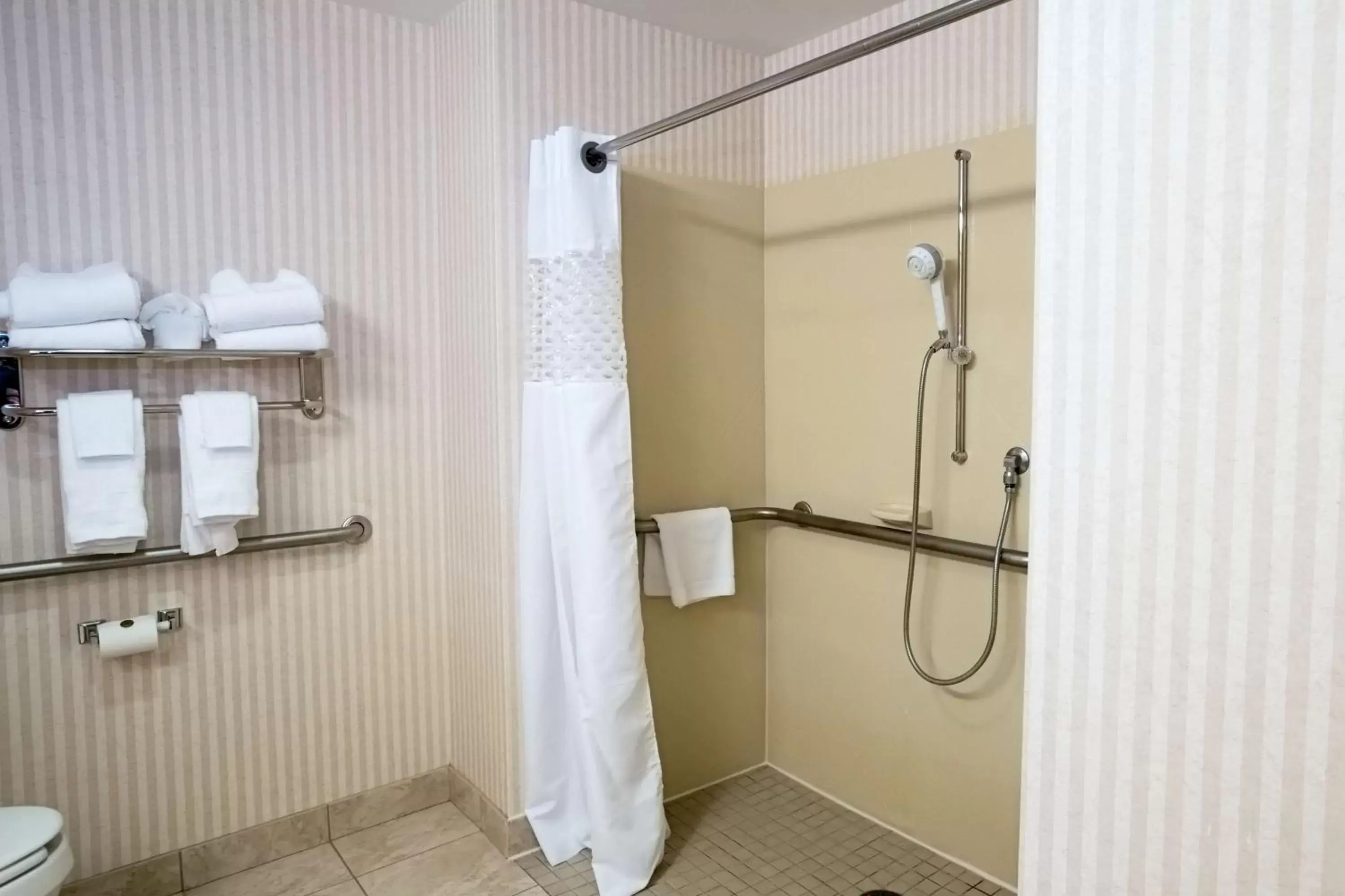 Bathroom in Hampton Inn Raynham-Taunton