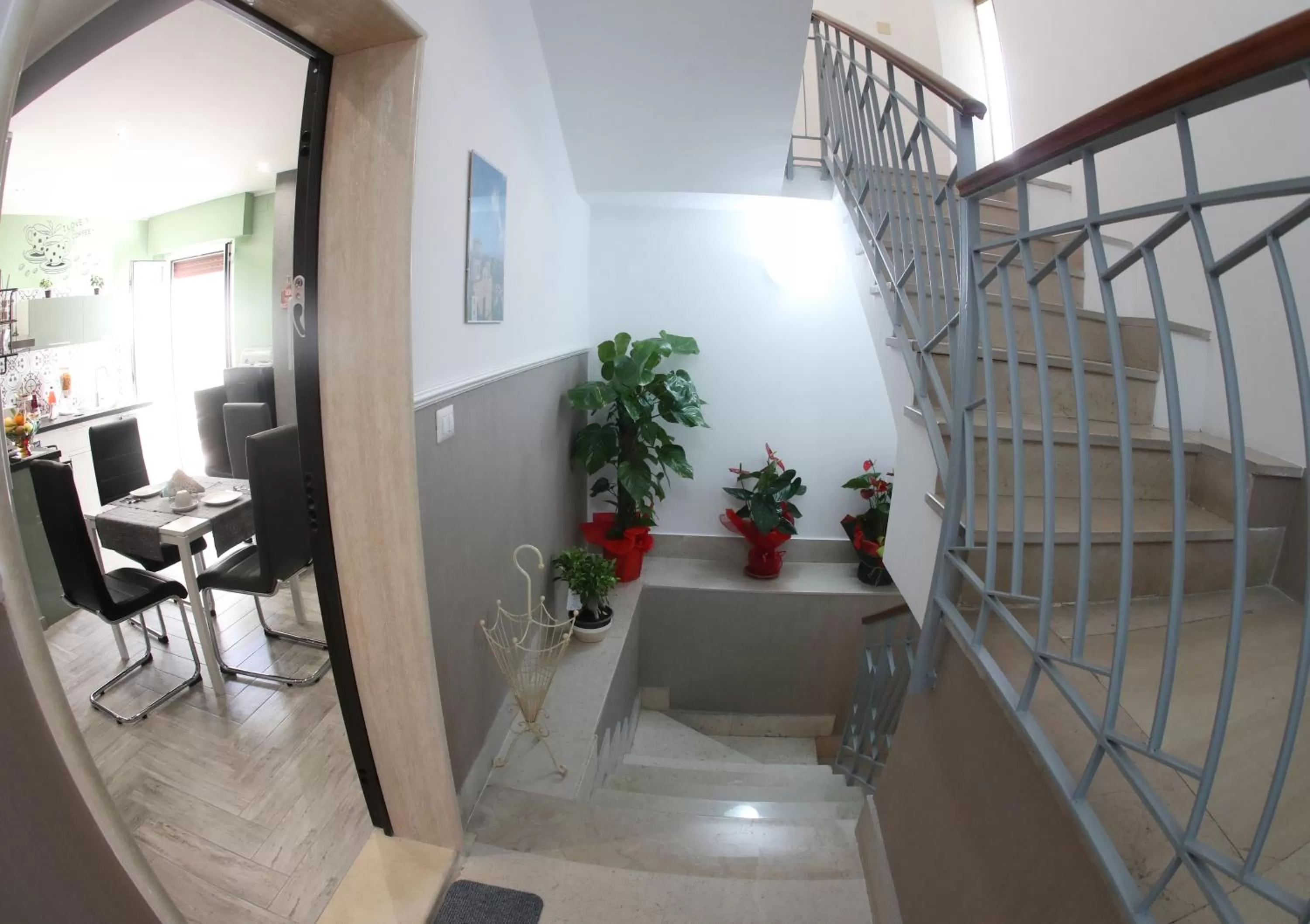 Other in La casa di Luce