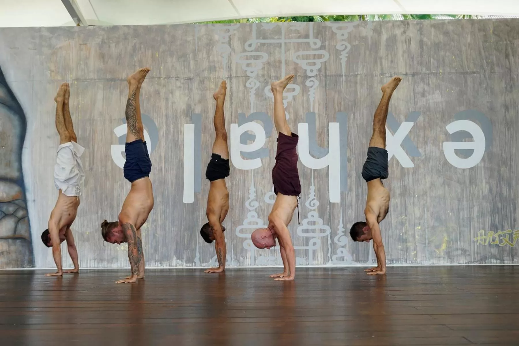 Activities in Vikasa Yoga Retreat