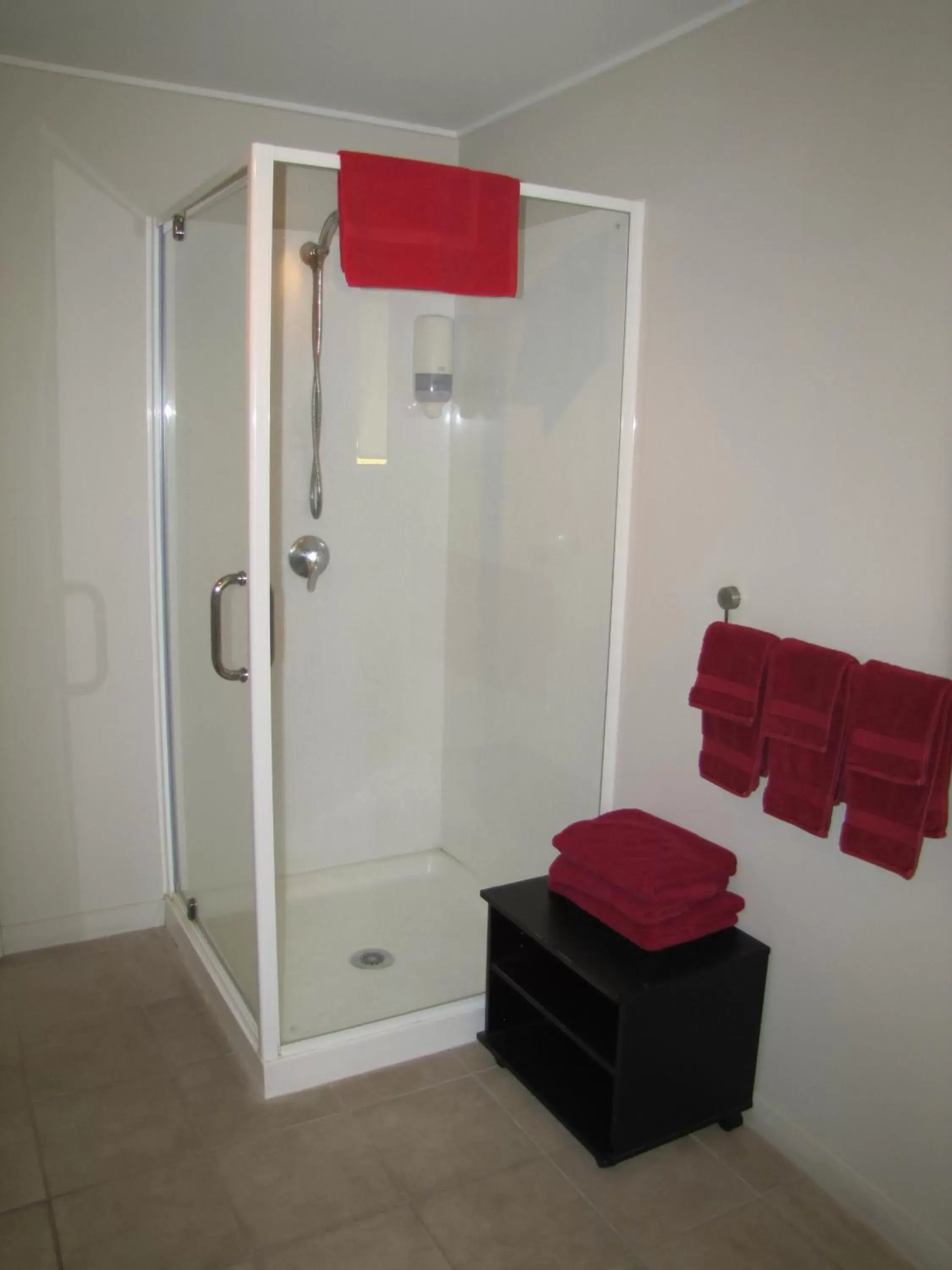 Shower, Bathroom in Devonwood Motel