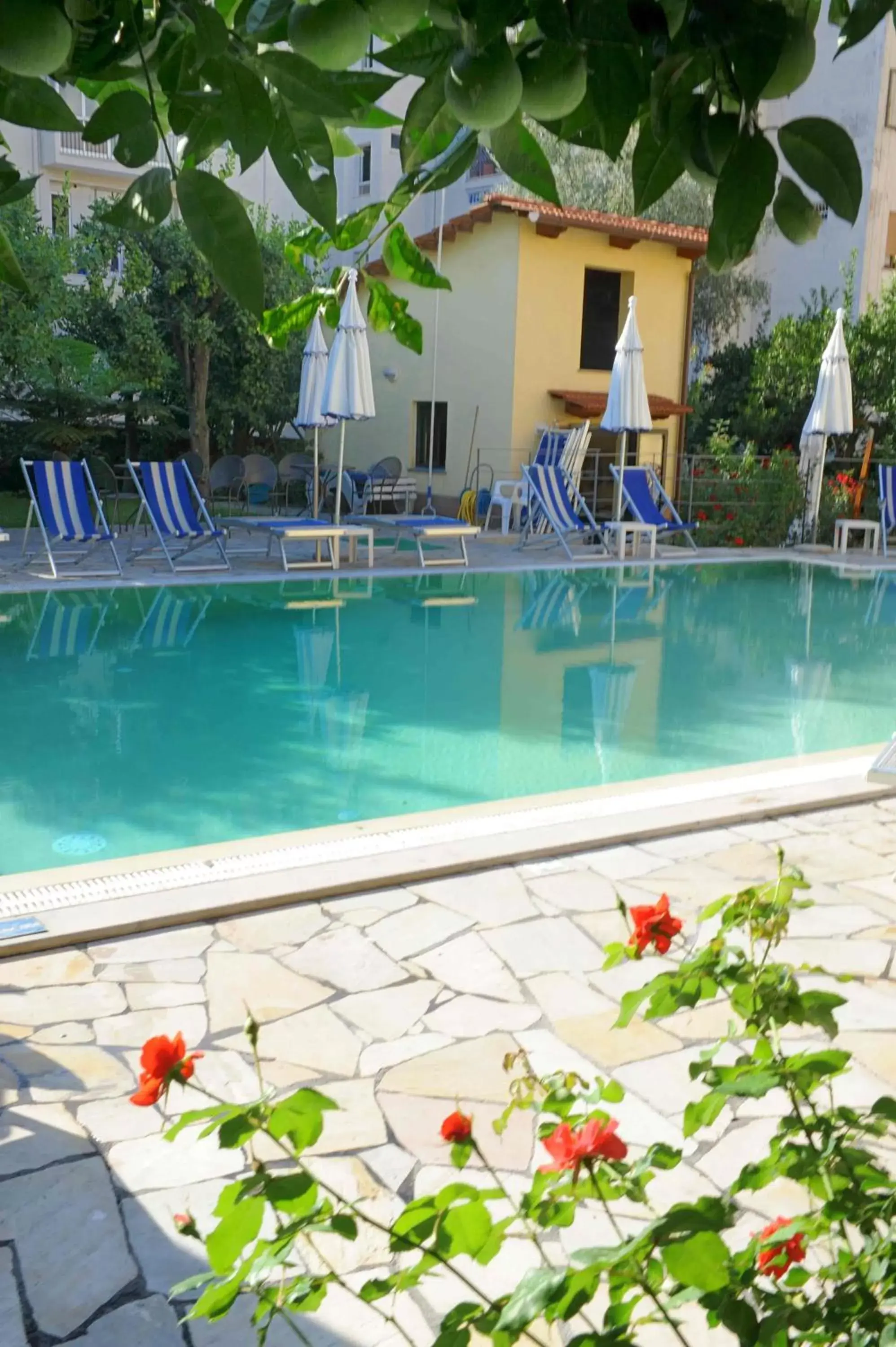 Swimming Pool in Hotel Tourist