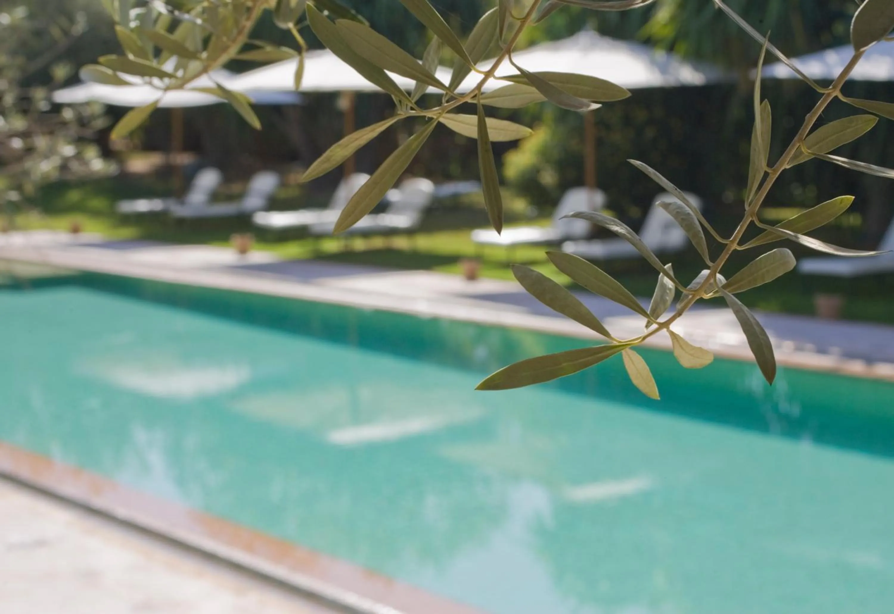Swimming pool in Les Deux Tours