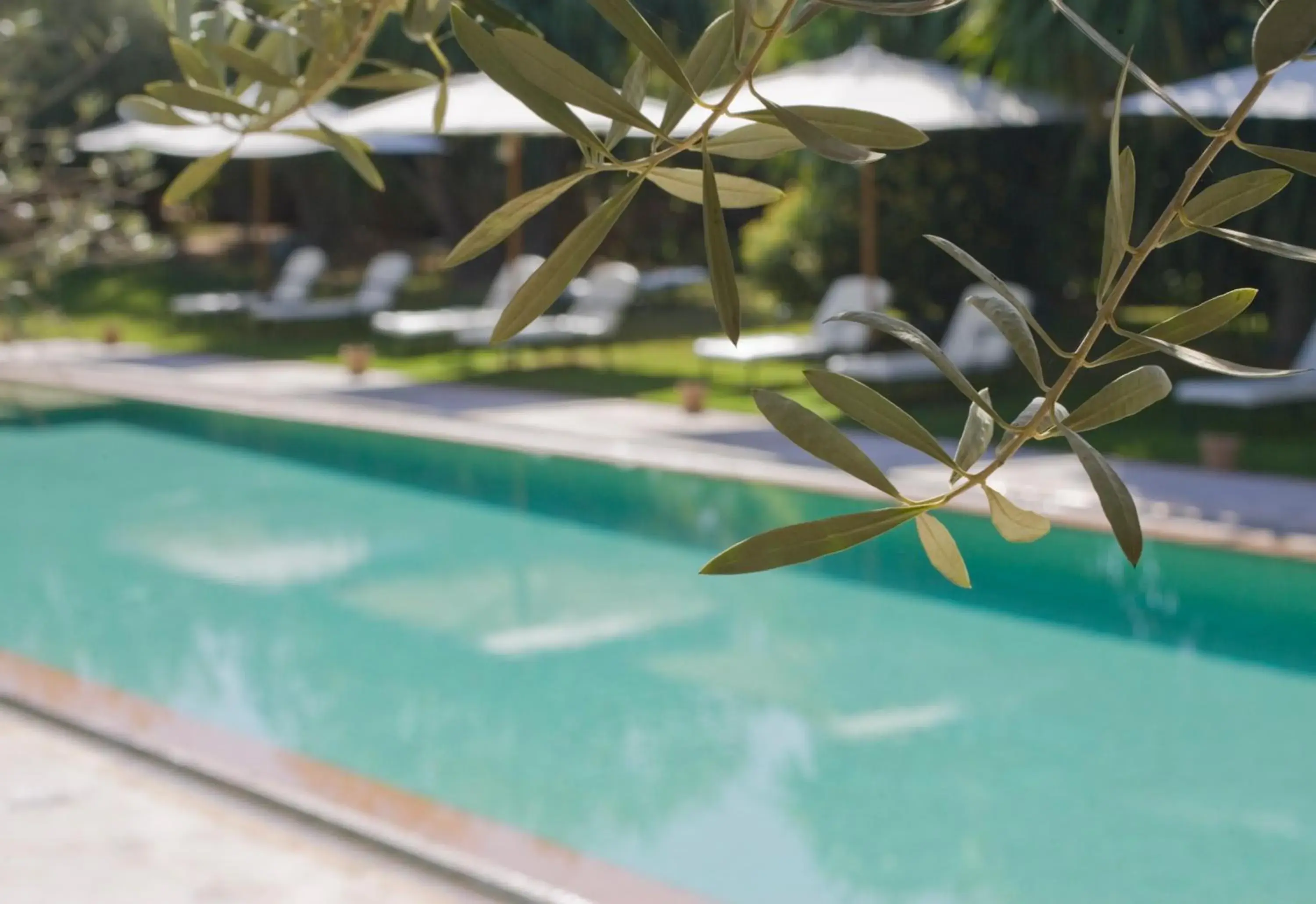 Swimming Pool in Les Deux Tours