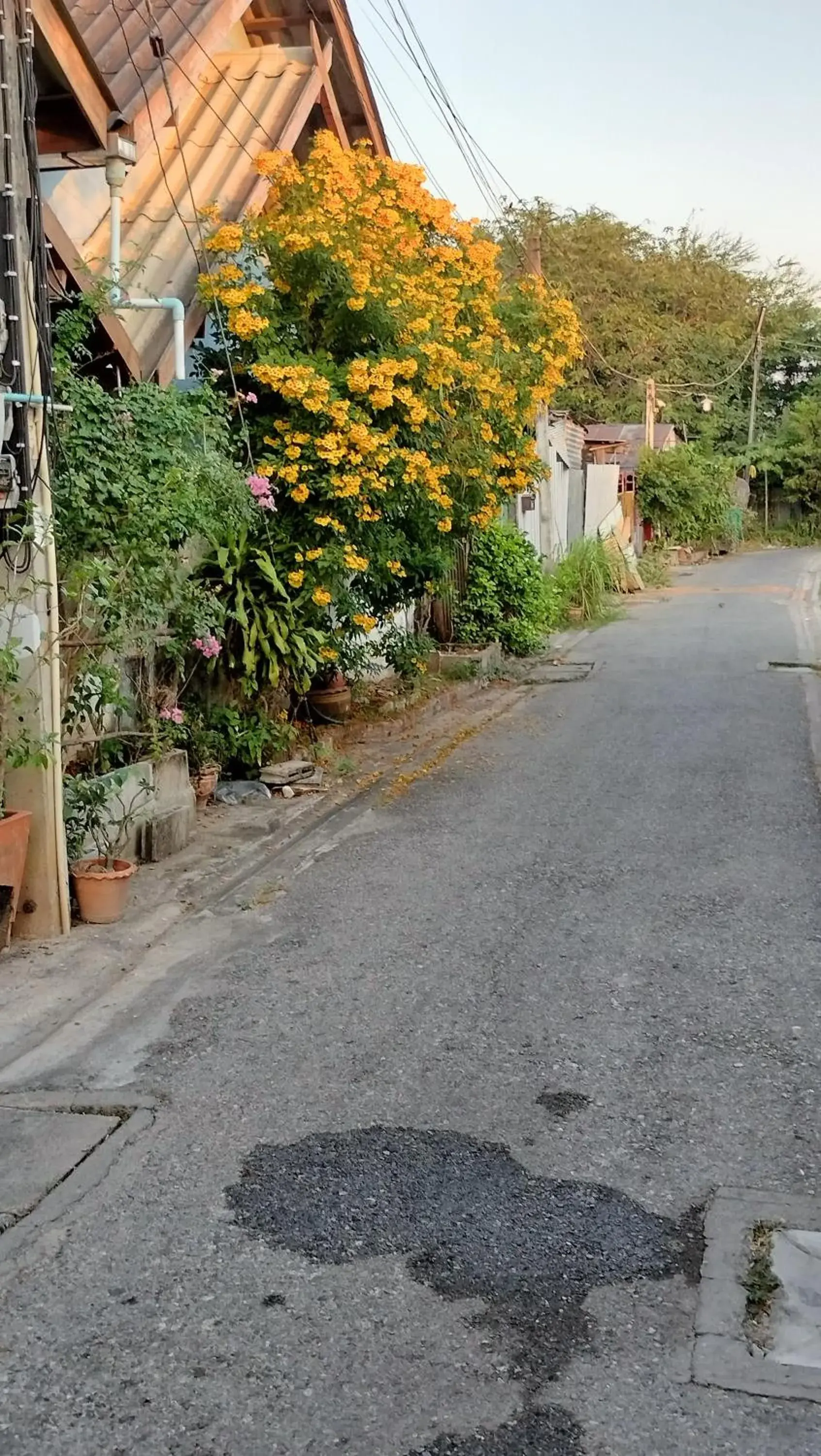 Street view in Canaan Street view in Canaan