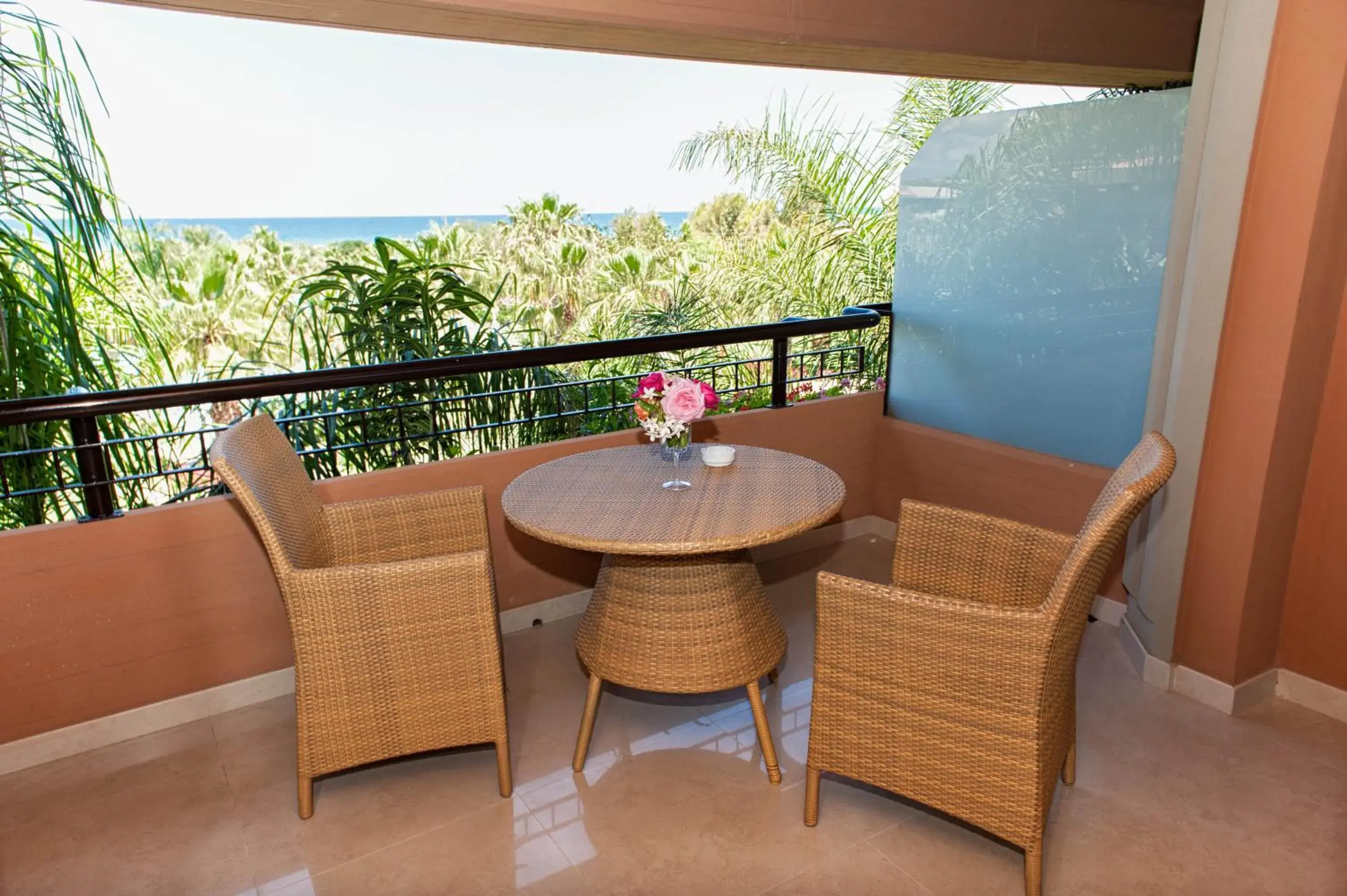 Balcony/Terrace in Acacia Resort Parco Dei Leoni