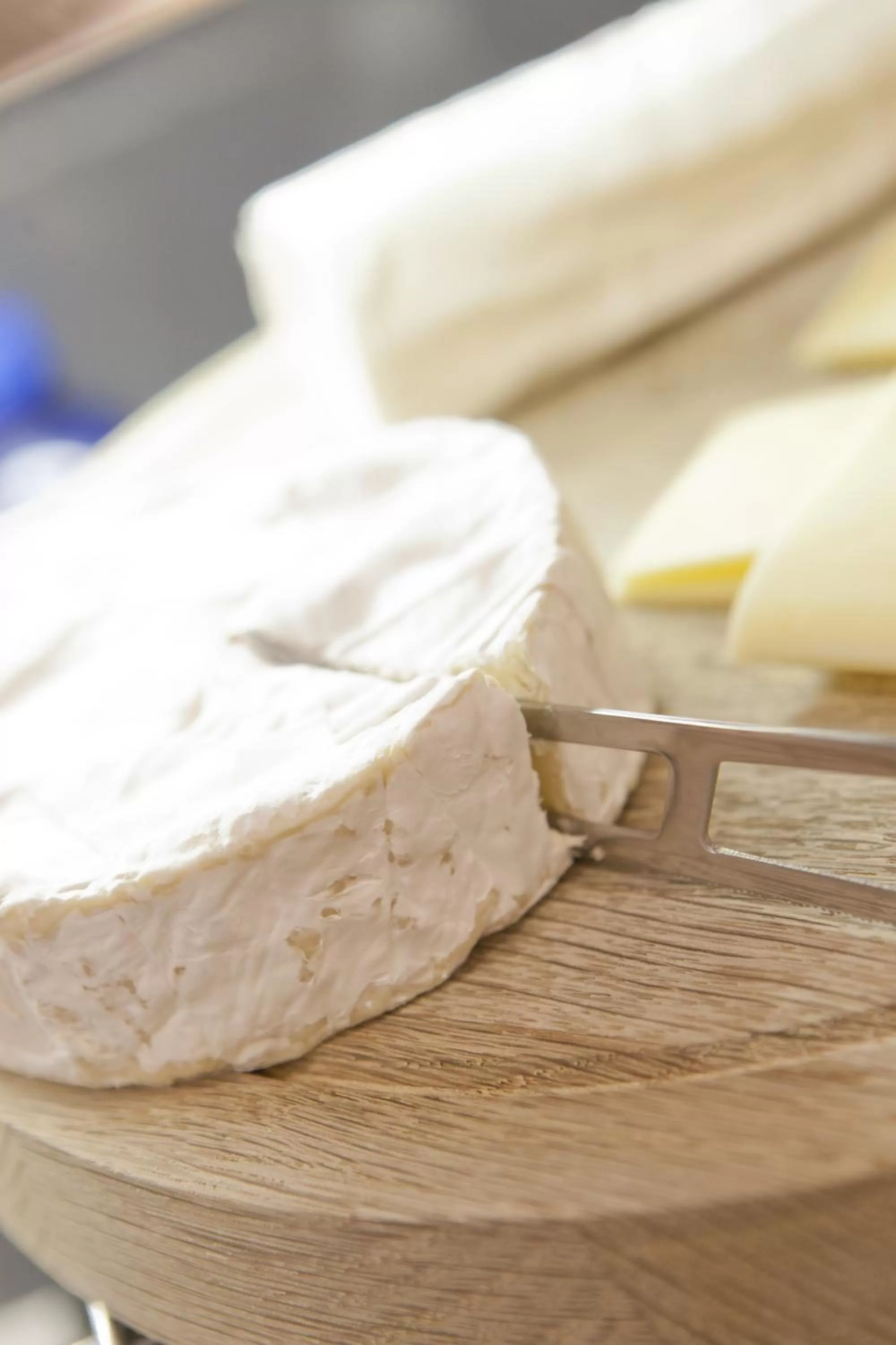 Food in Logis Hôtel Duquesne