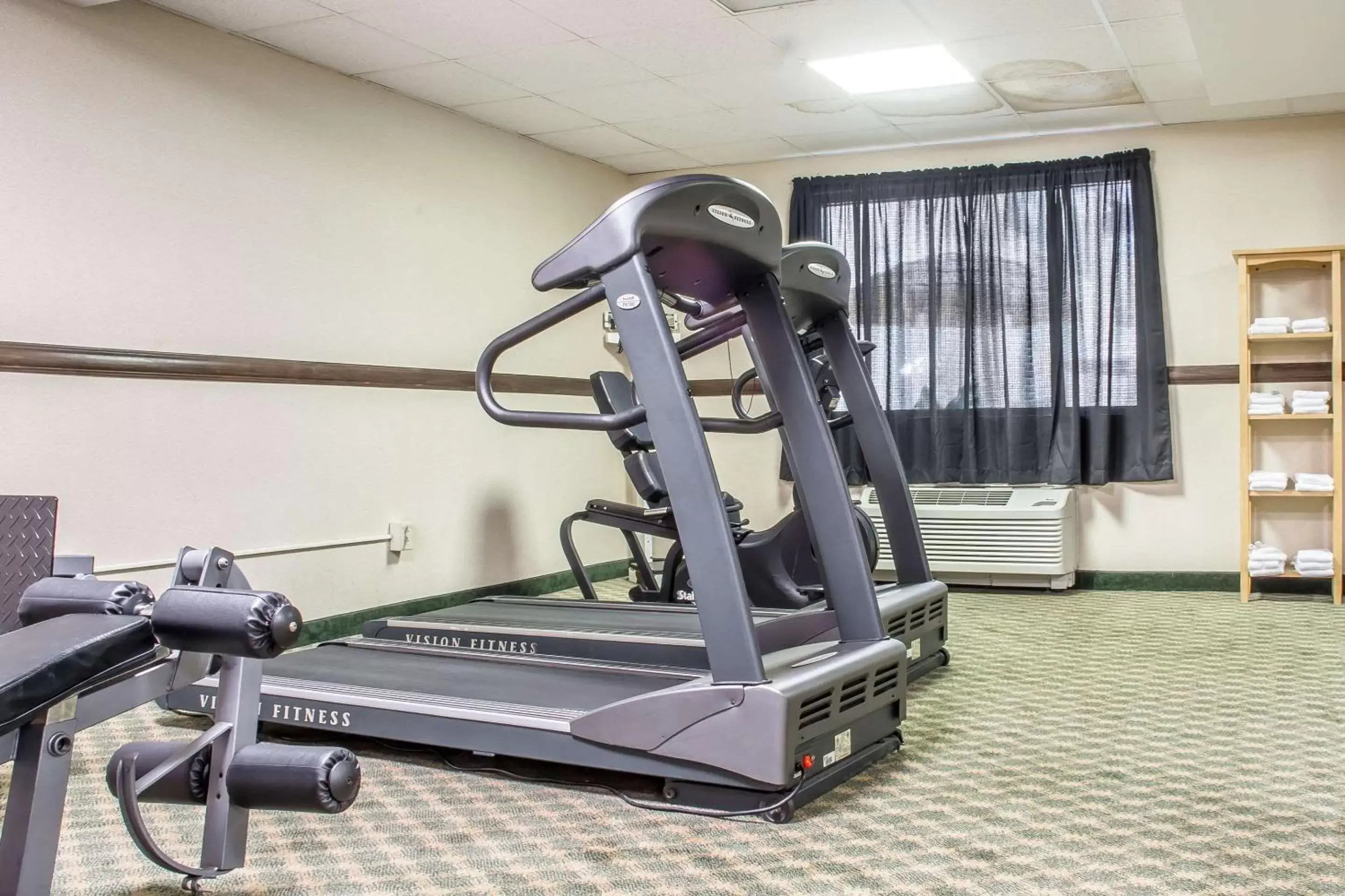 Fitness centre/facilities, Fitness Center/Facilities in Quality Inn & Suites Palm Island Indoor Waterpark