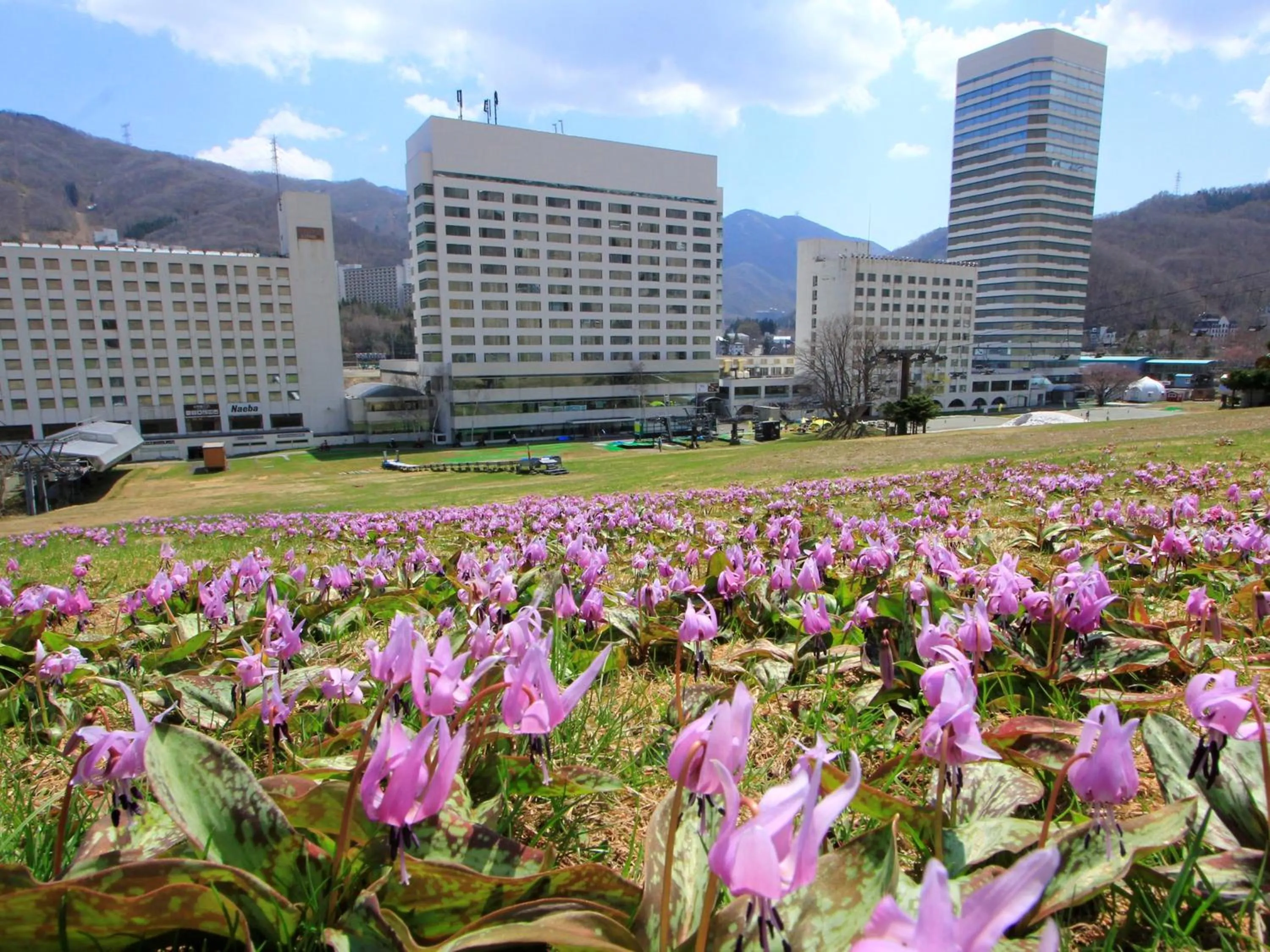 Property building in Naeba Prince Hotel