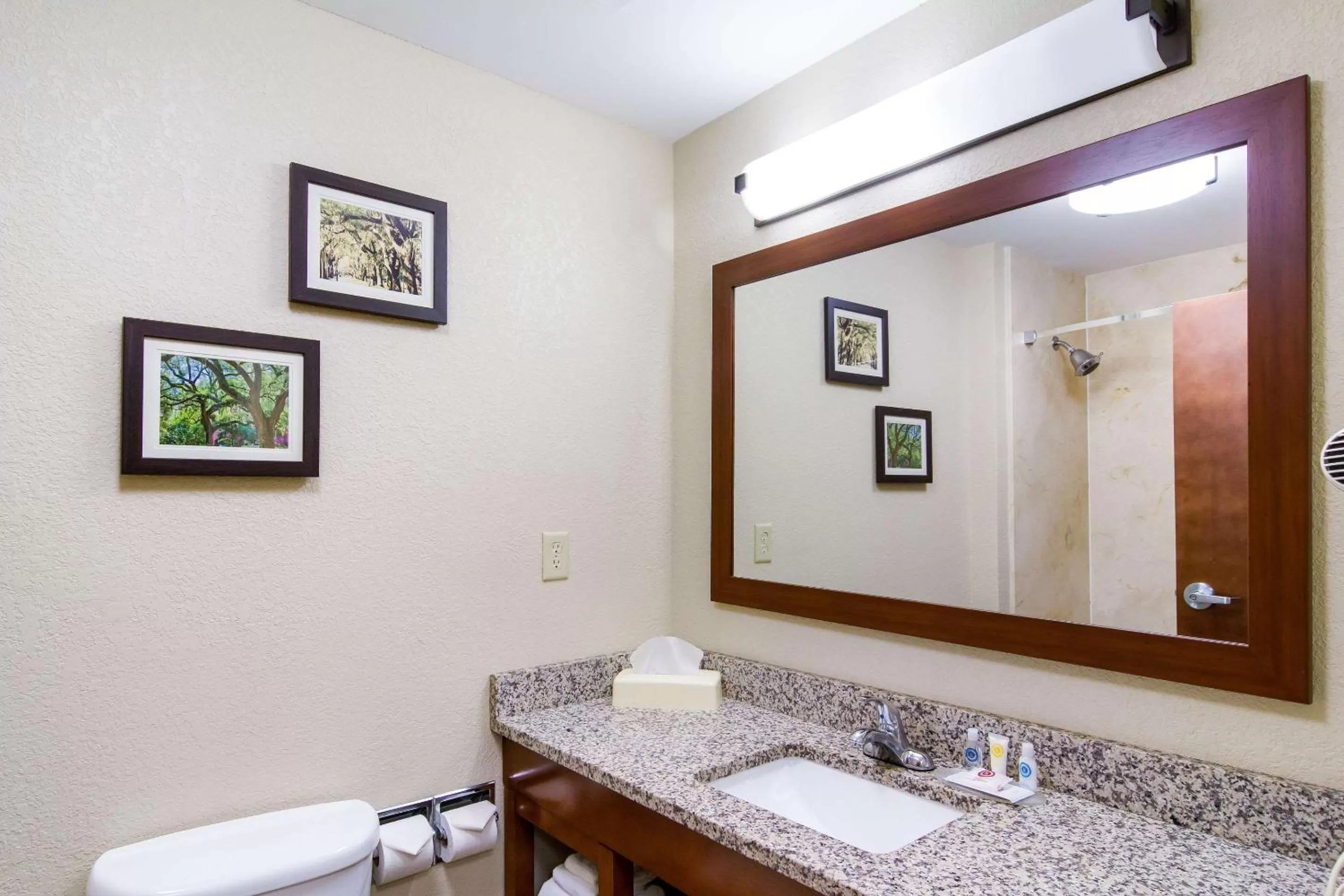 Bathroom in Comfort Inn Blackshear Hwy 84