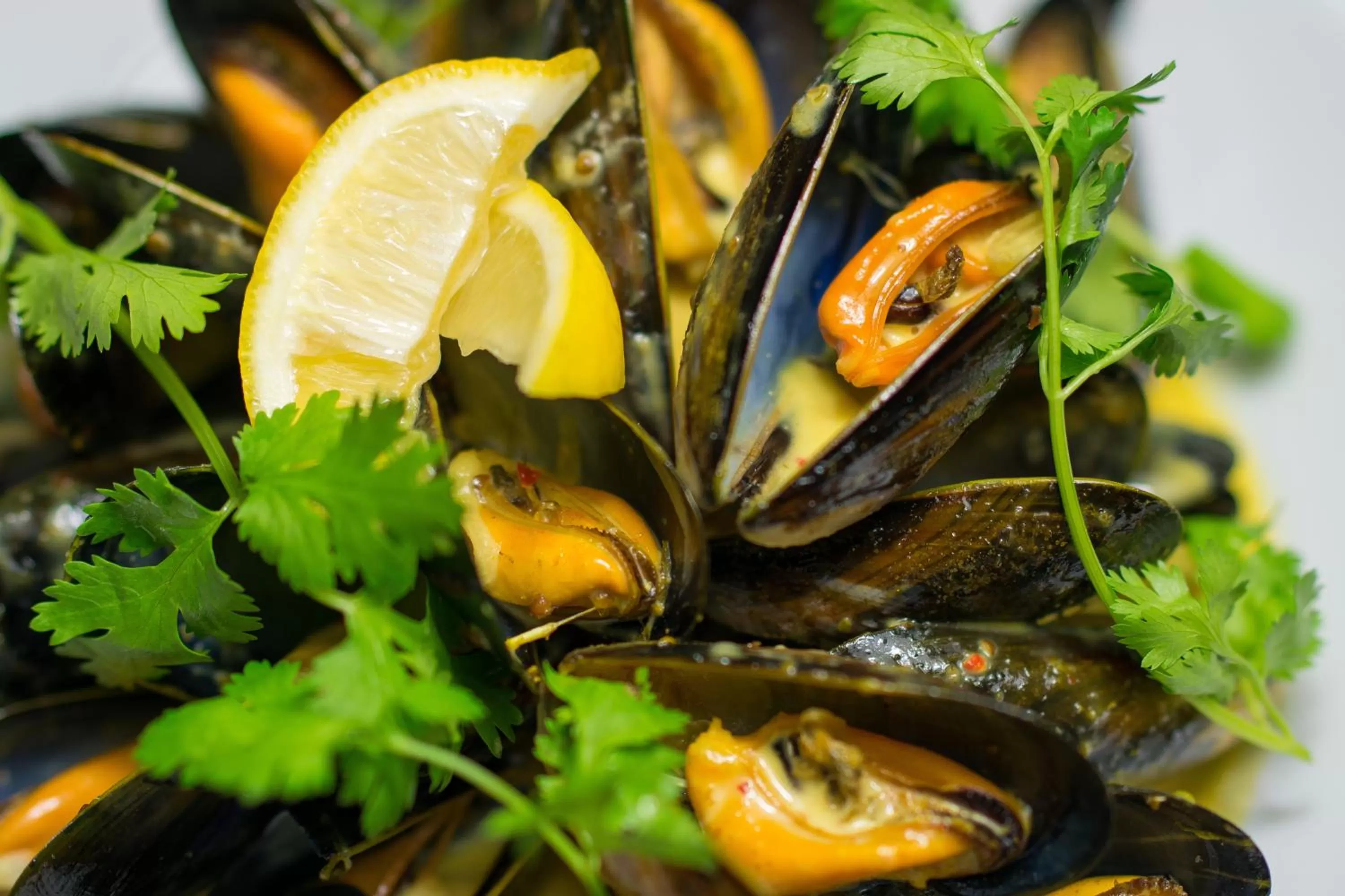 Food close-up in The Fenwick Steak & Seafood Pub