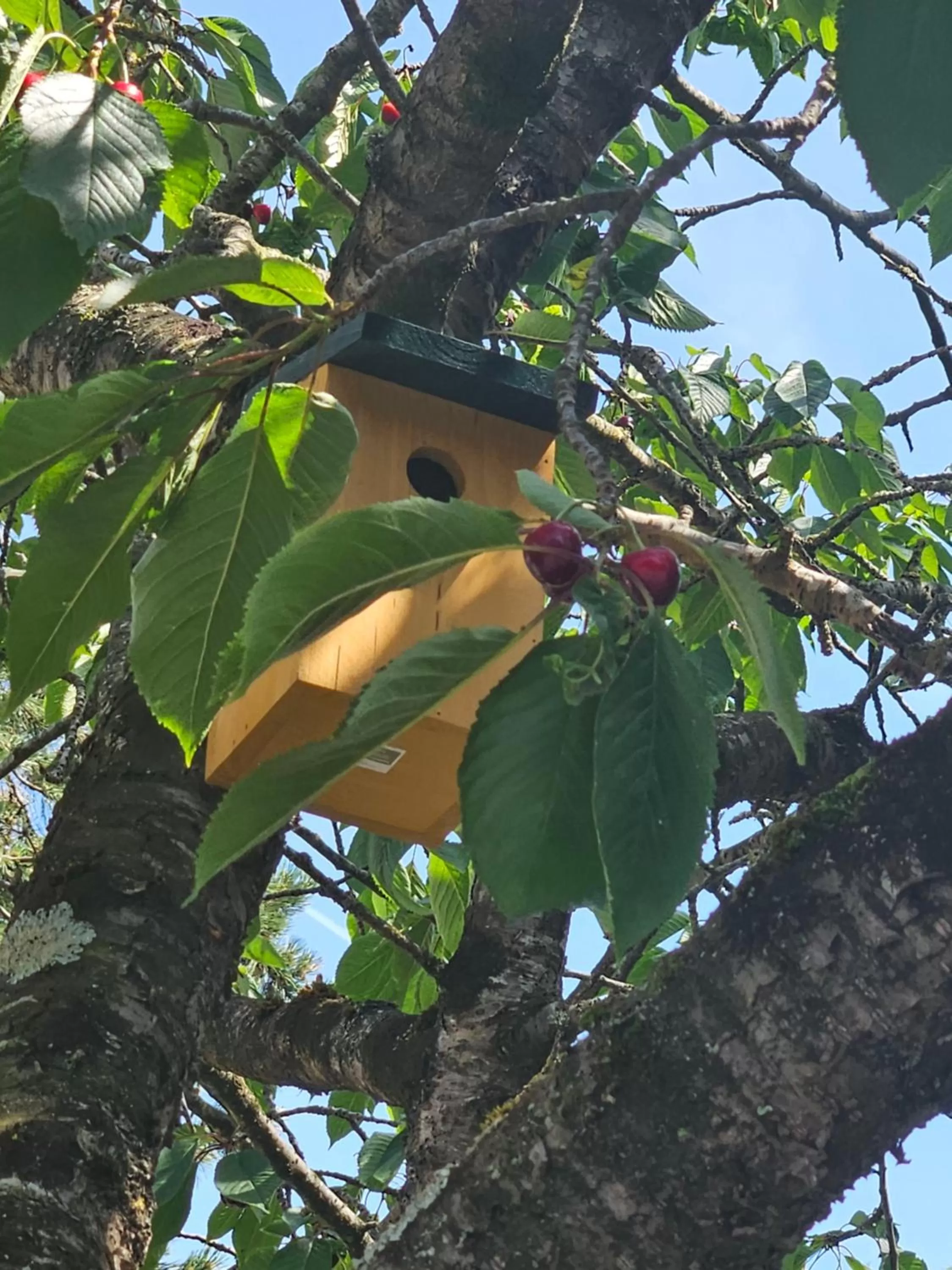 Garden in Campanile Deauville Saint-Arnoult